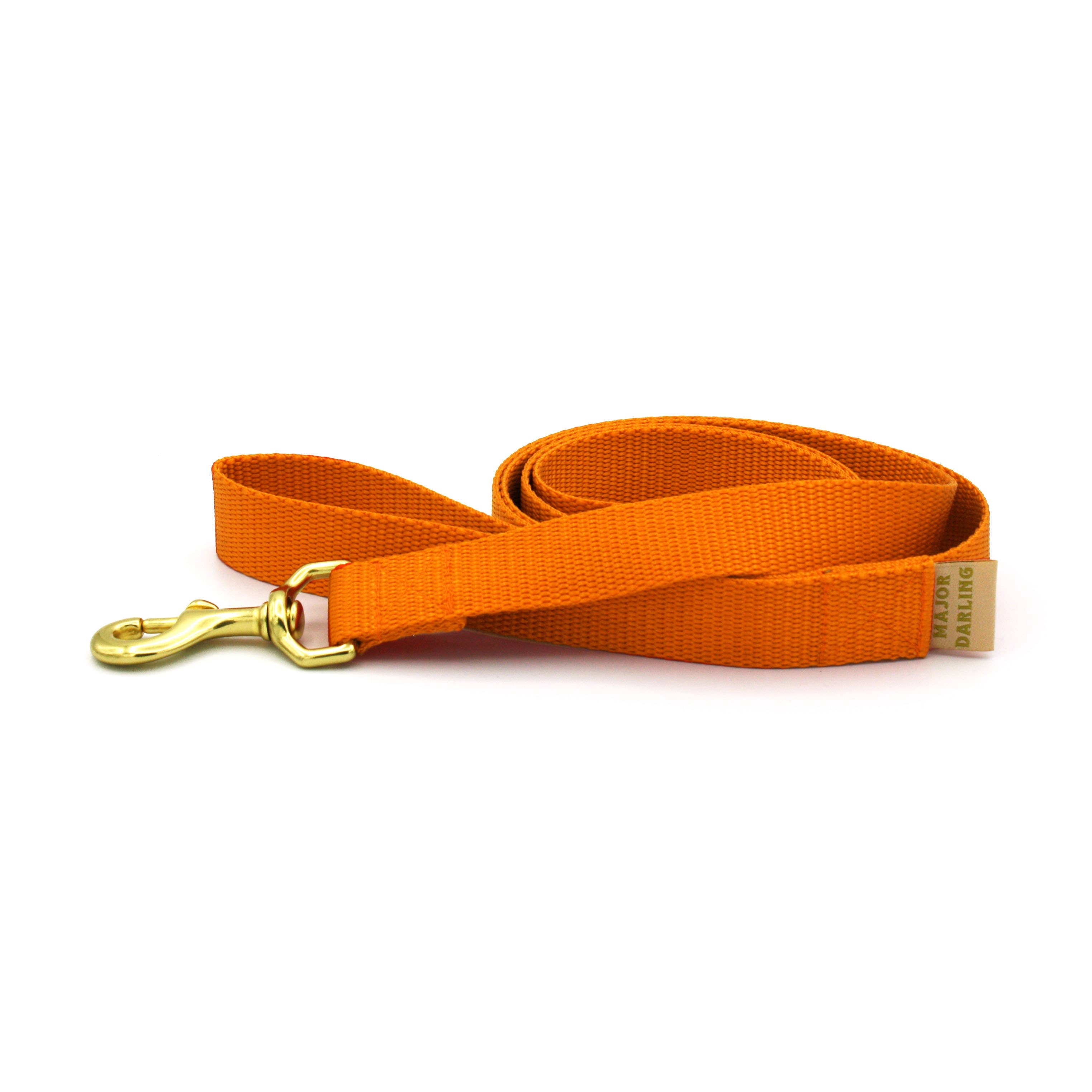 Major Darling Basic Leash Standard (1" wide)