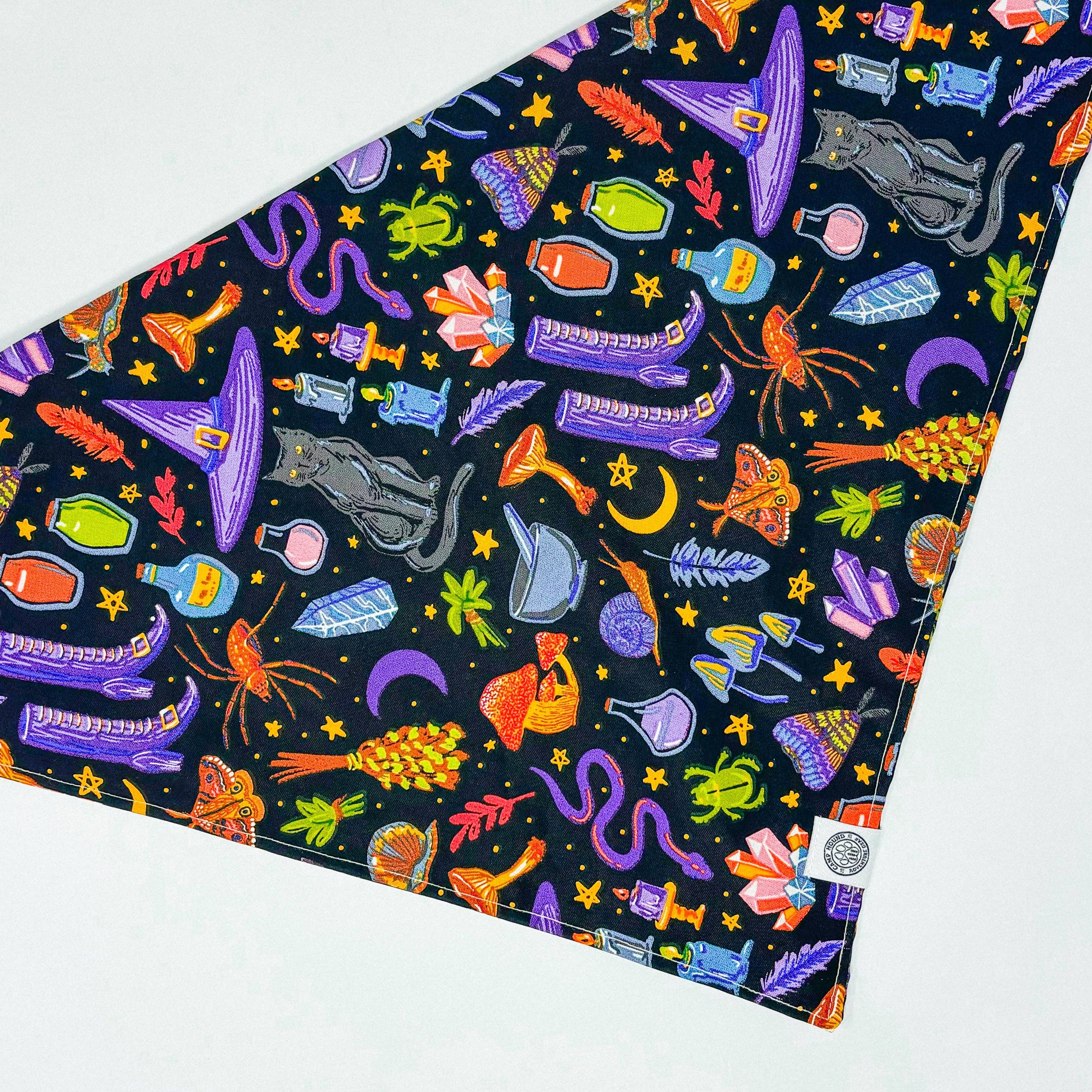 Camp Hound Salem Dog Bandana Halloween Witch