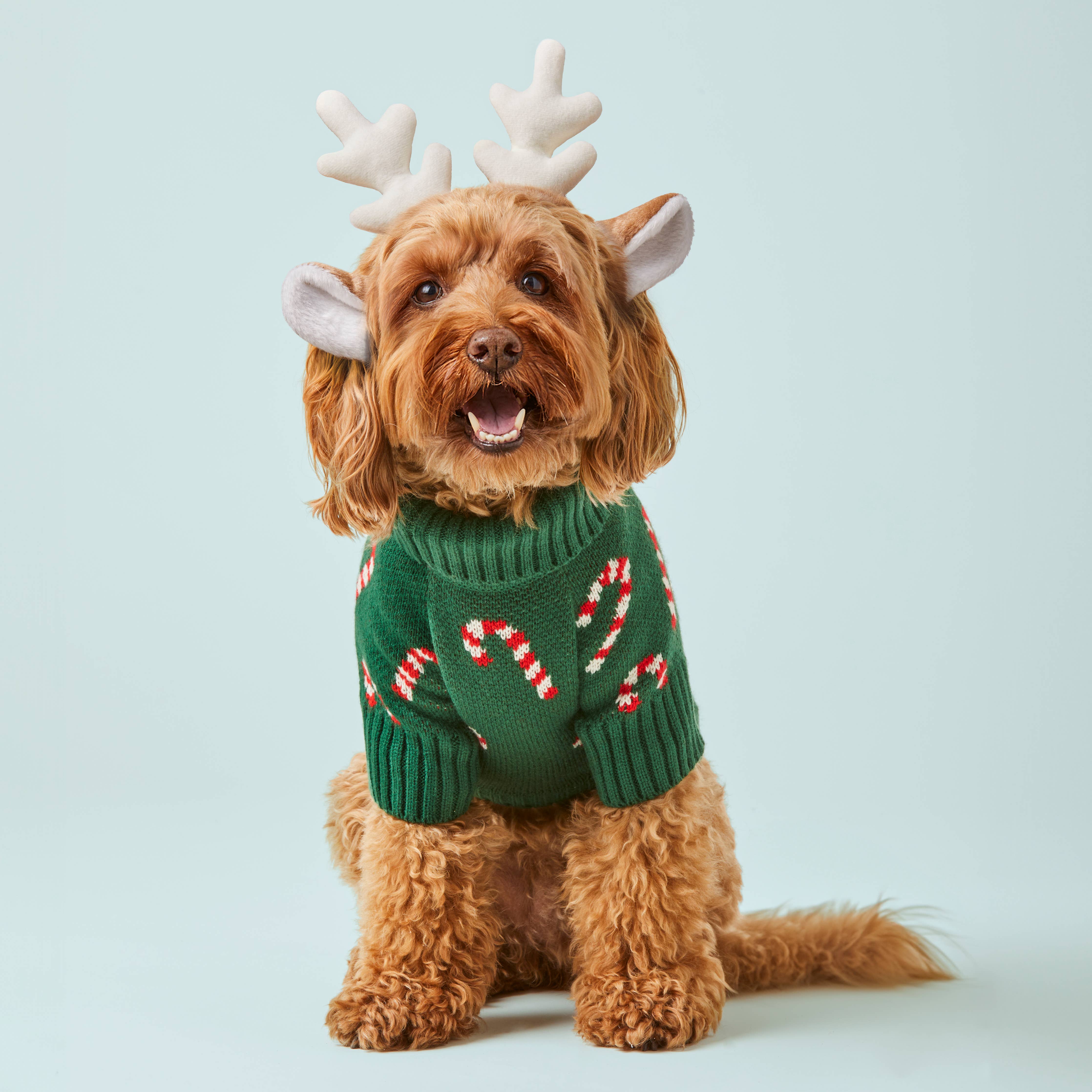 The Foggy Dog Candy Canes Holiday Dog Sweater