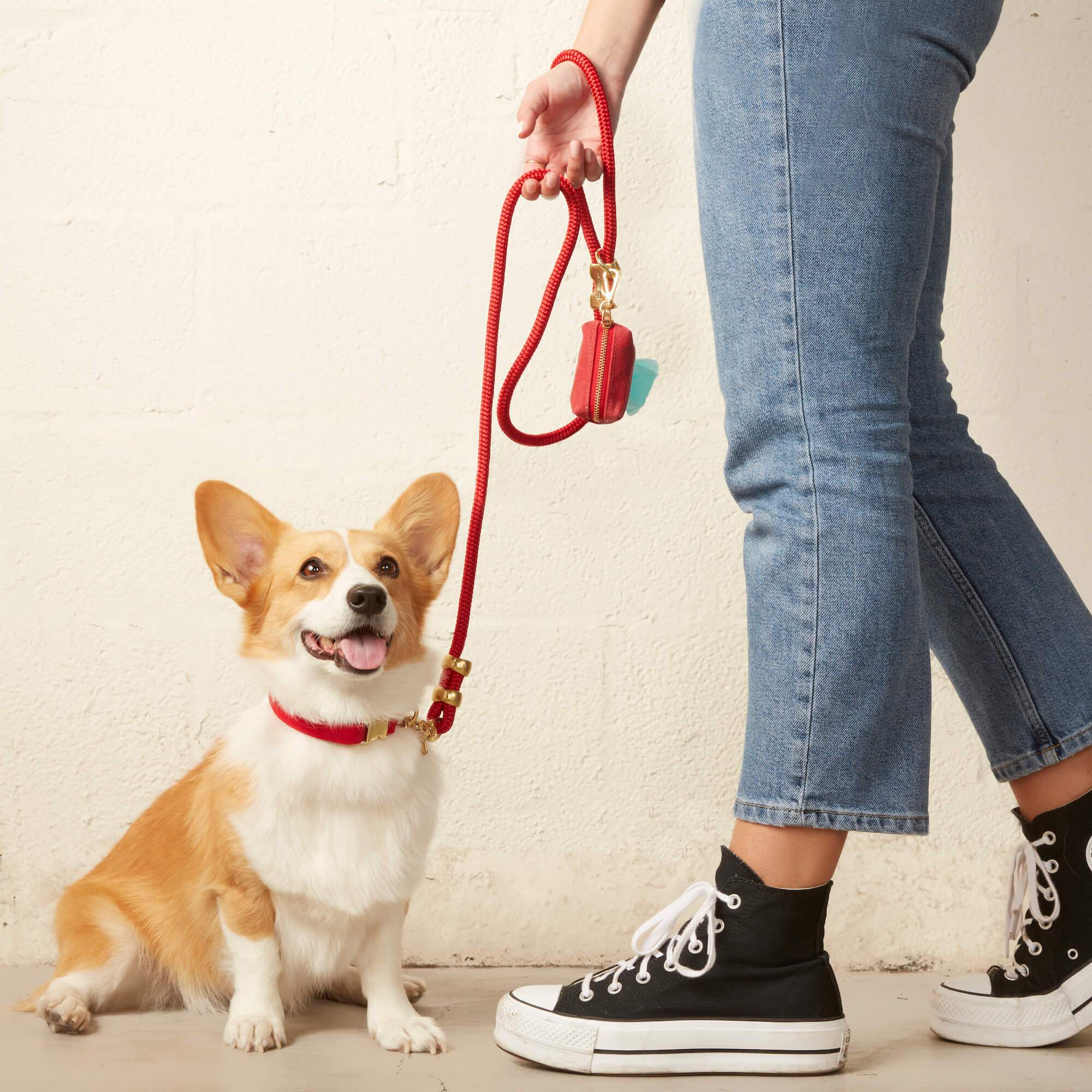 The Foggy Dog Ruby Waxed Canvas Poop Bag Dispenser