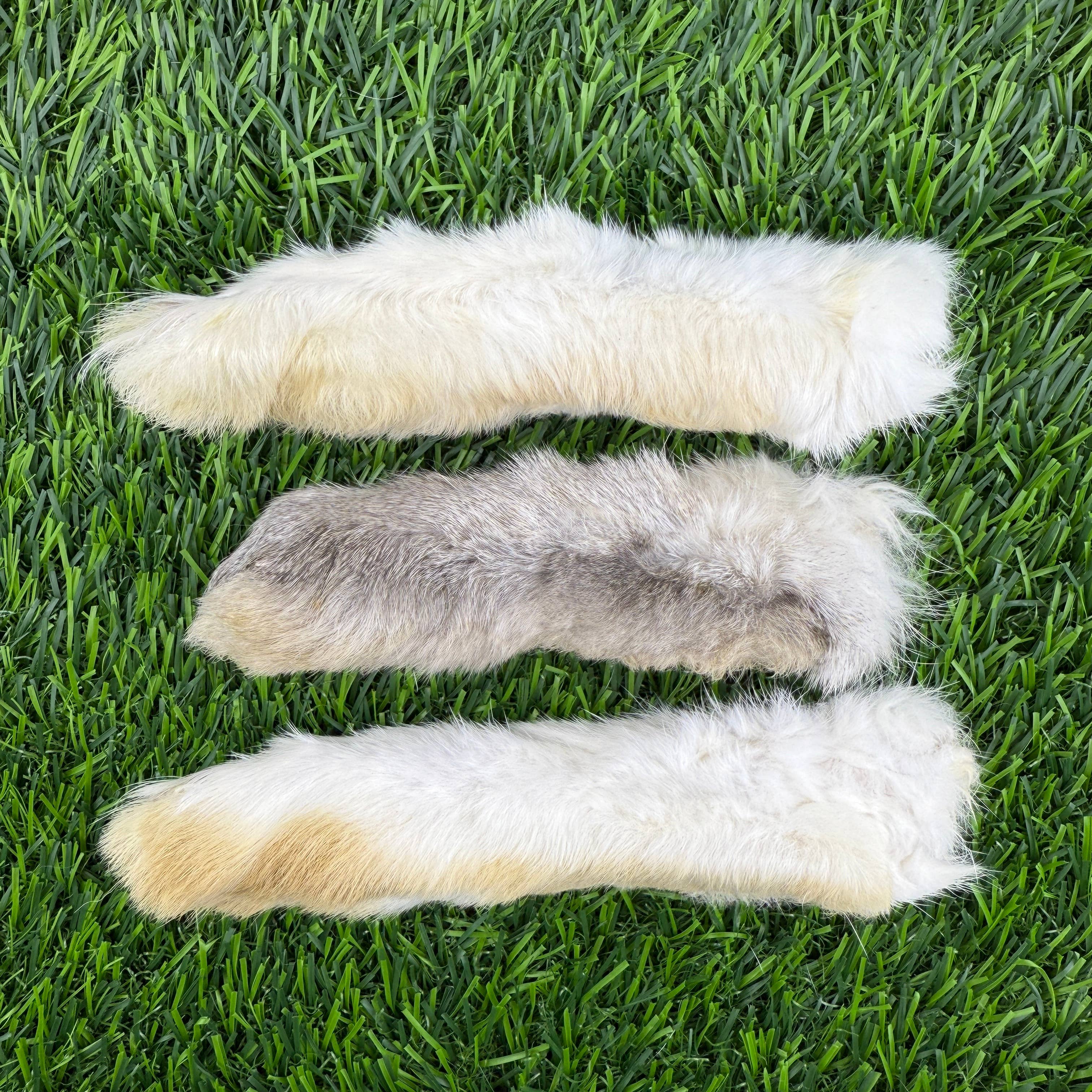 Golden Nibbles Freeze Dried Rabbit Feet