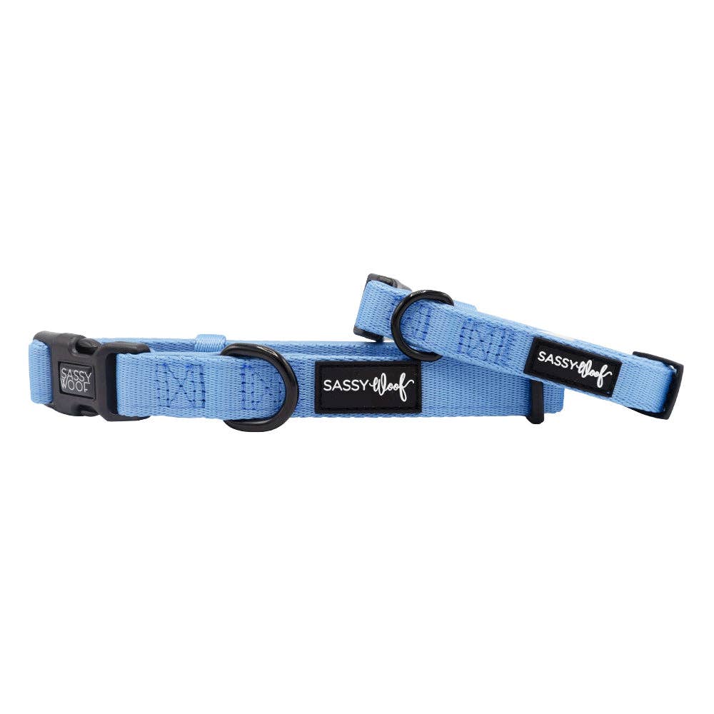 Sassy Woof Dog Collar - Hydrangea