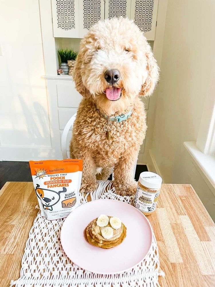 Bark Bistro Pumpkin Pancakes