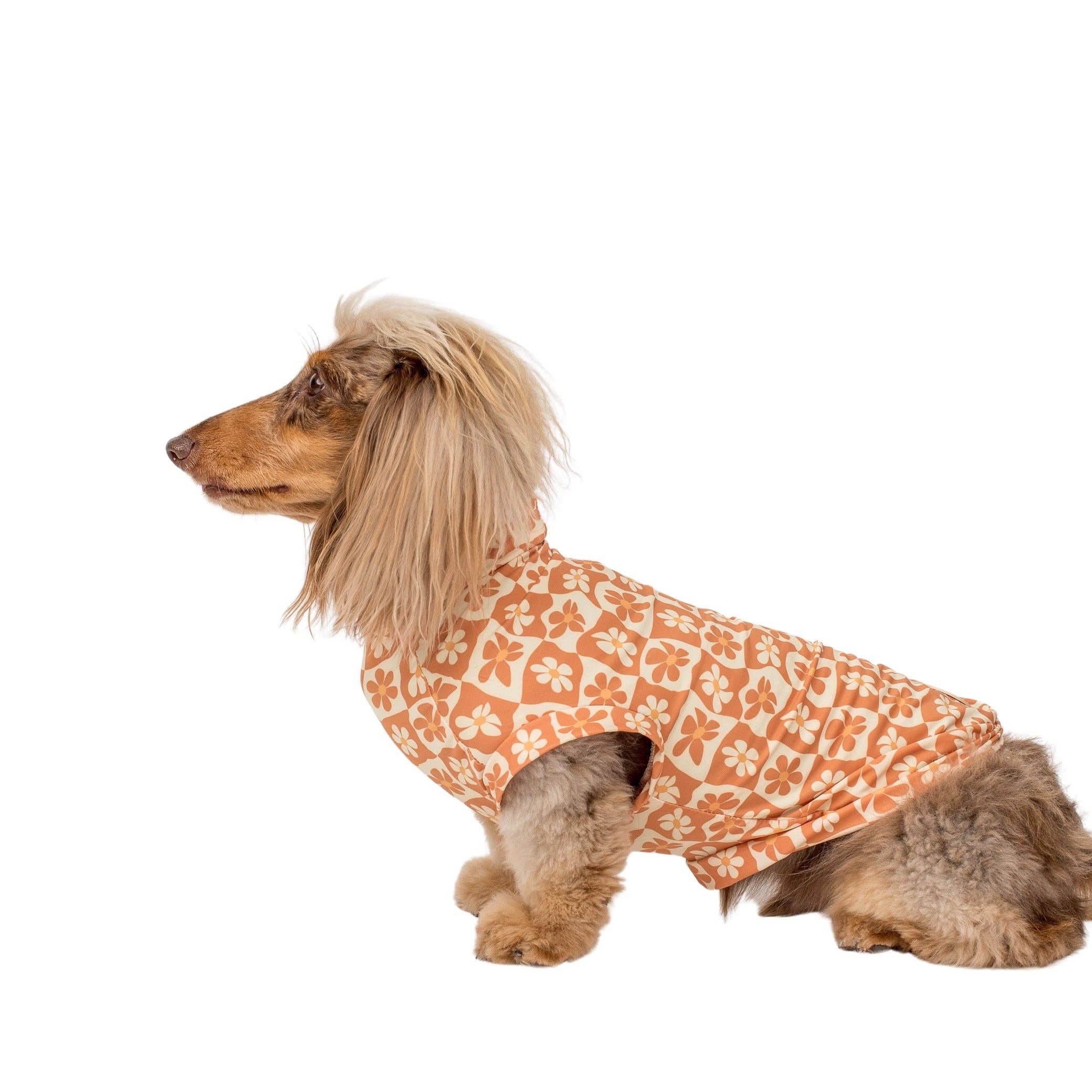 Pable & Co Retro Dazie Cooling Dog Rashie