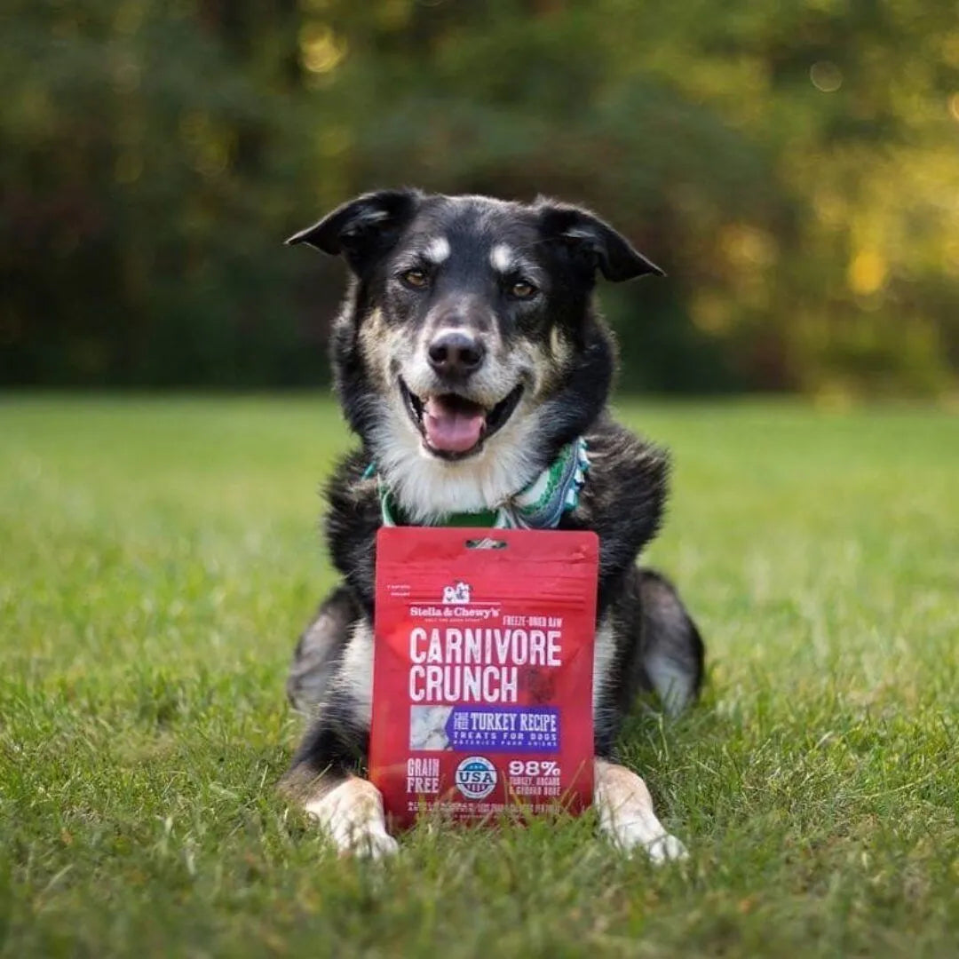 Stella & Chewy's Dog Carnivore Crunch Turkey FD 3.25OZ