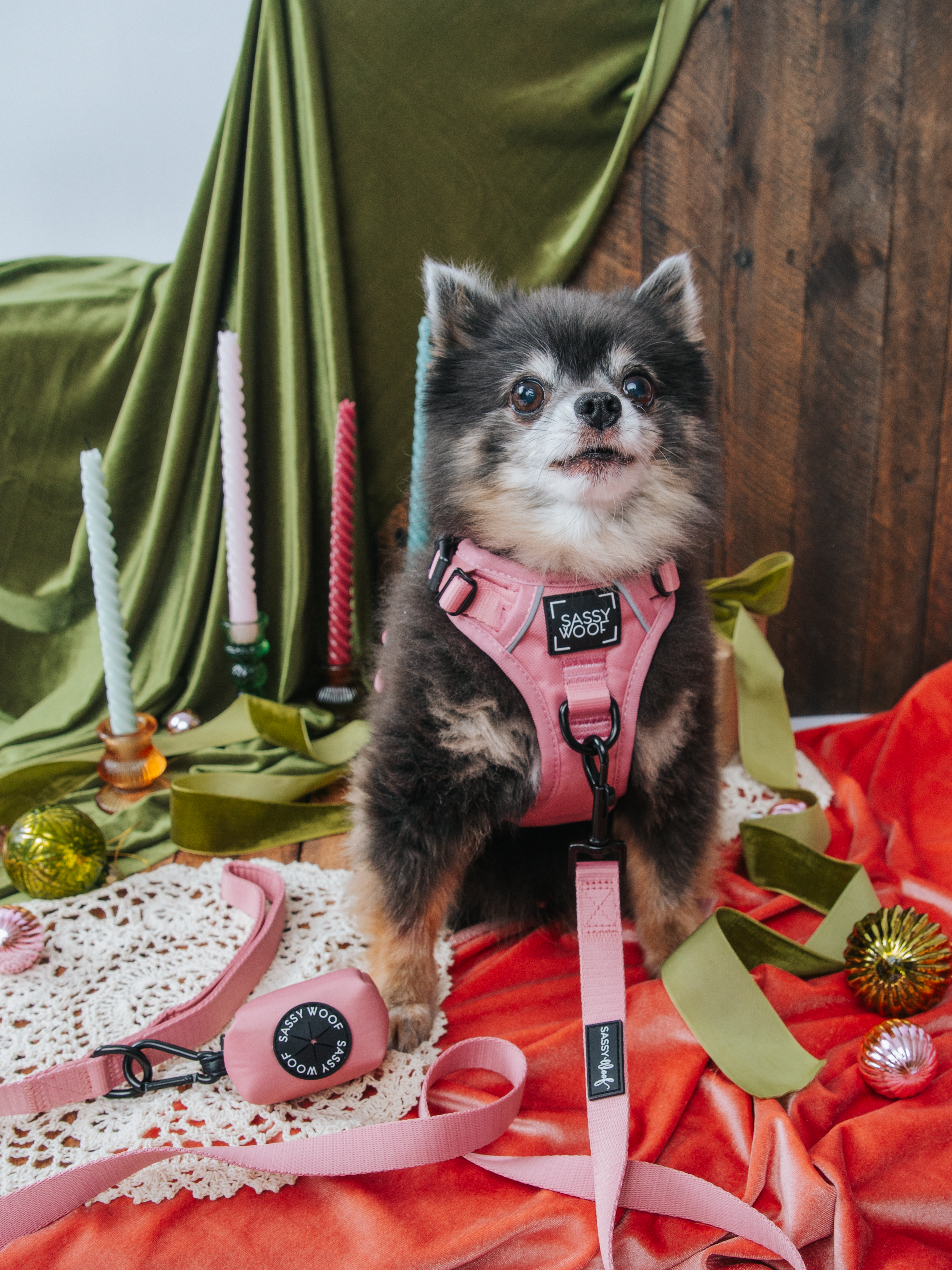 Sassy Woof Dog Leash - Dusty Rose