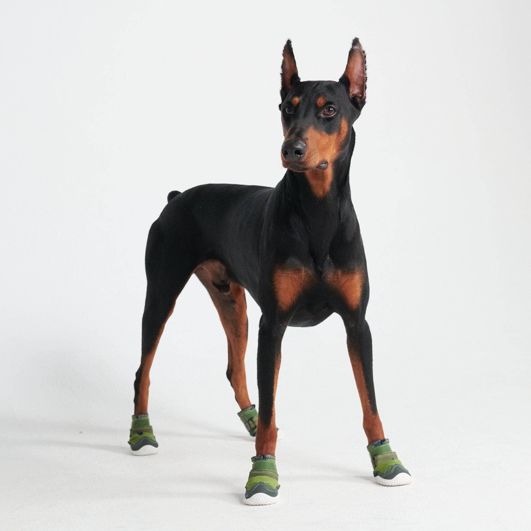 Spark Paws Pavement Pawtector Green
