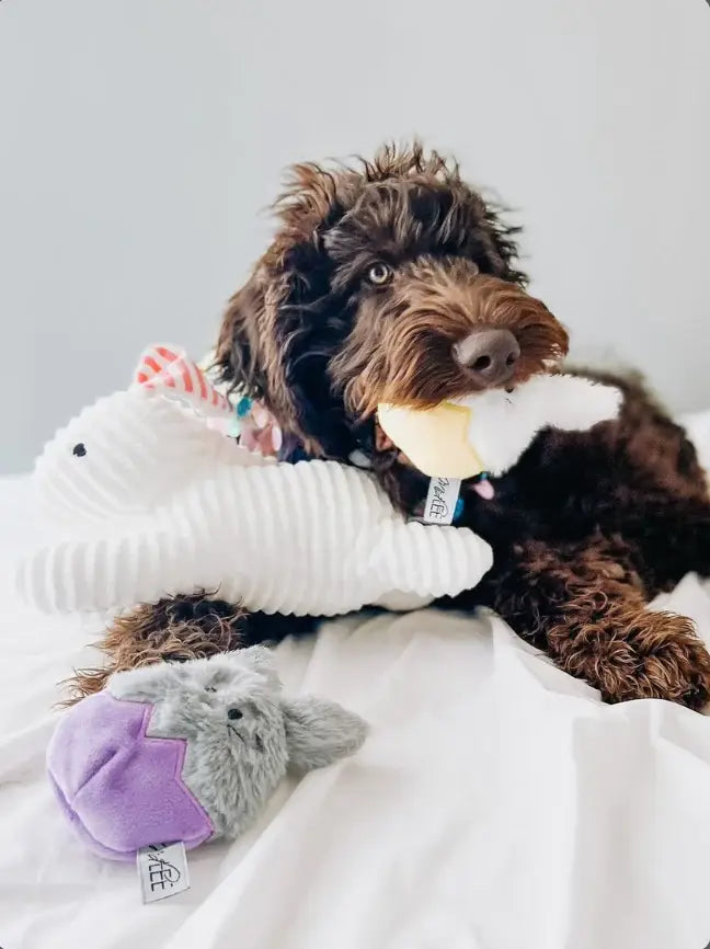 Midlee Easter Bunny Egg Dog Toy