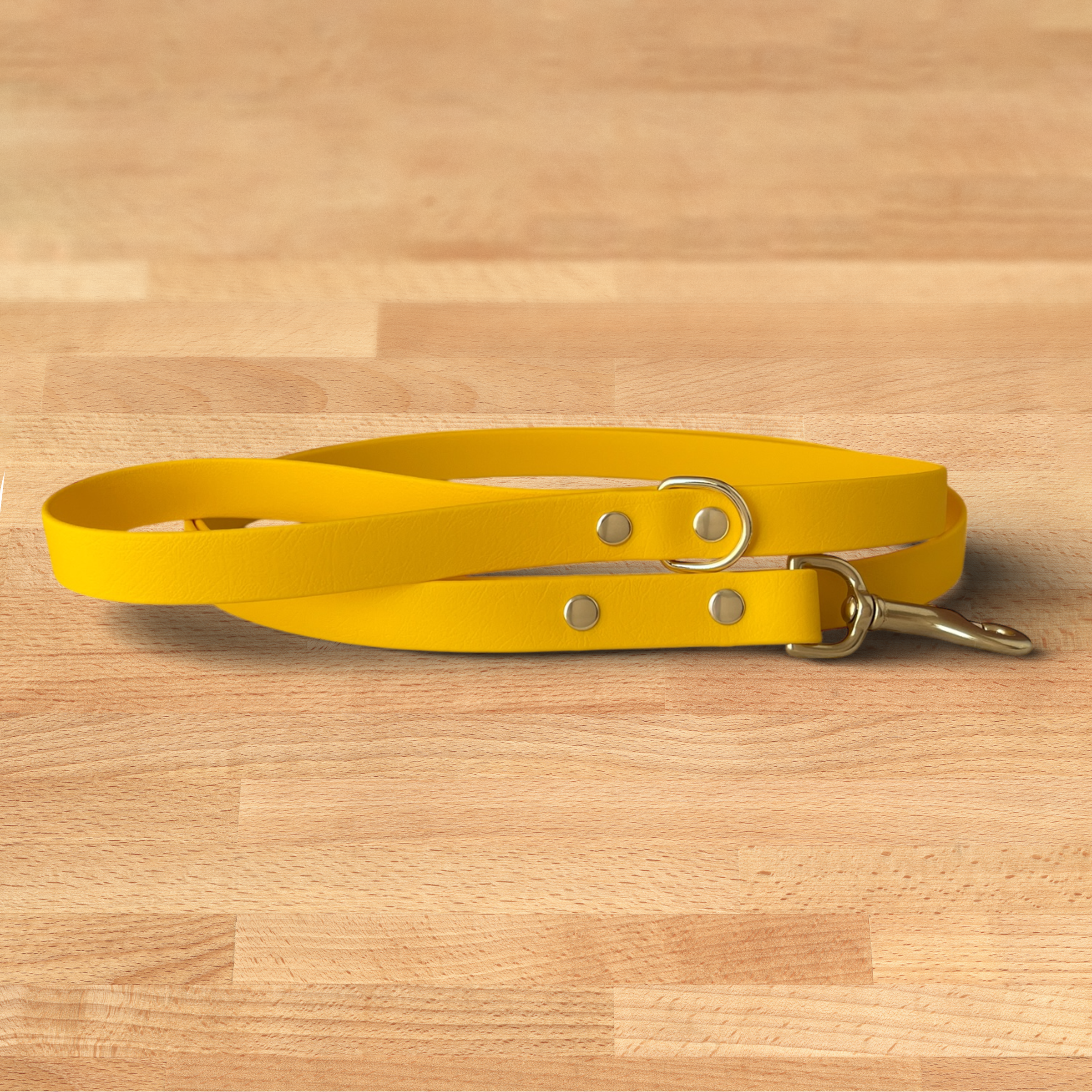 Foxmoth Biothane Waterproof Leash