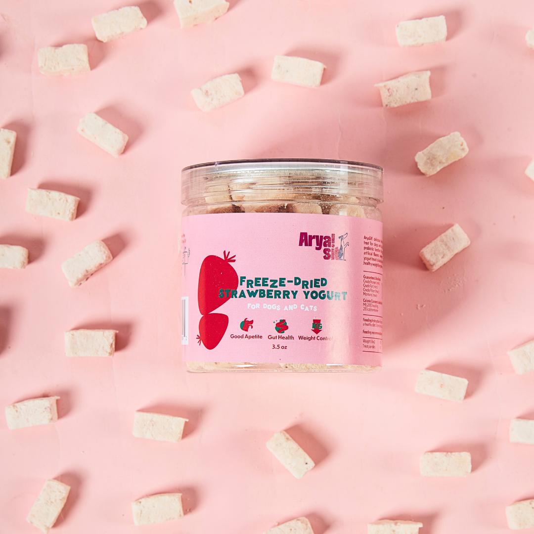 Arya Sit! Freeze-Dried Strawberry Yogurt 4.0oz