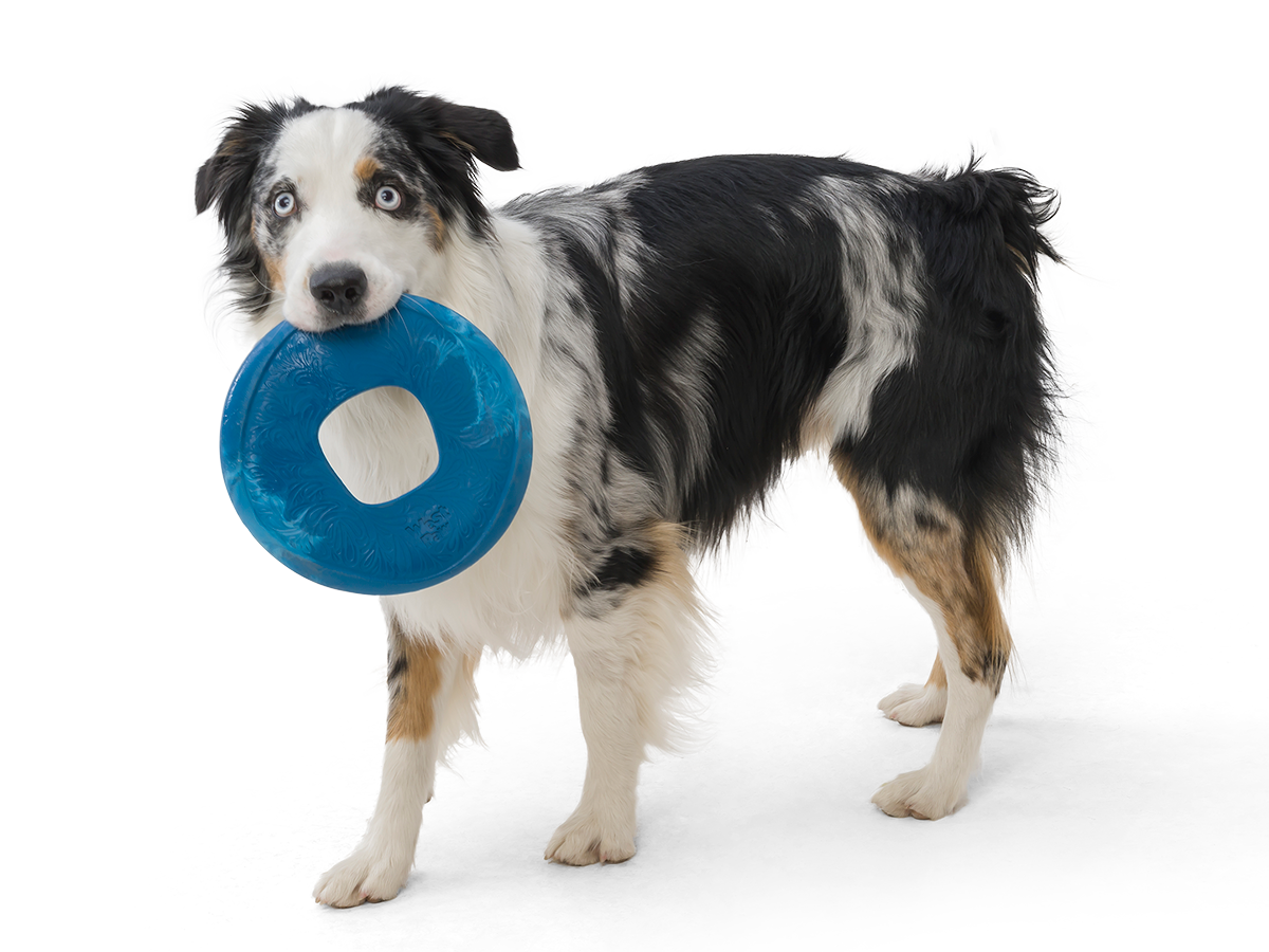 Sailz® Dog Flying Disc Fetch Toy