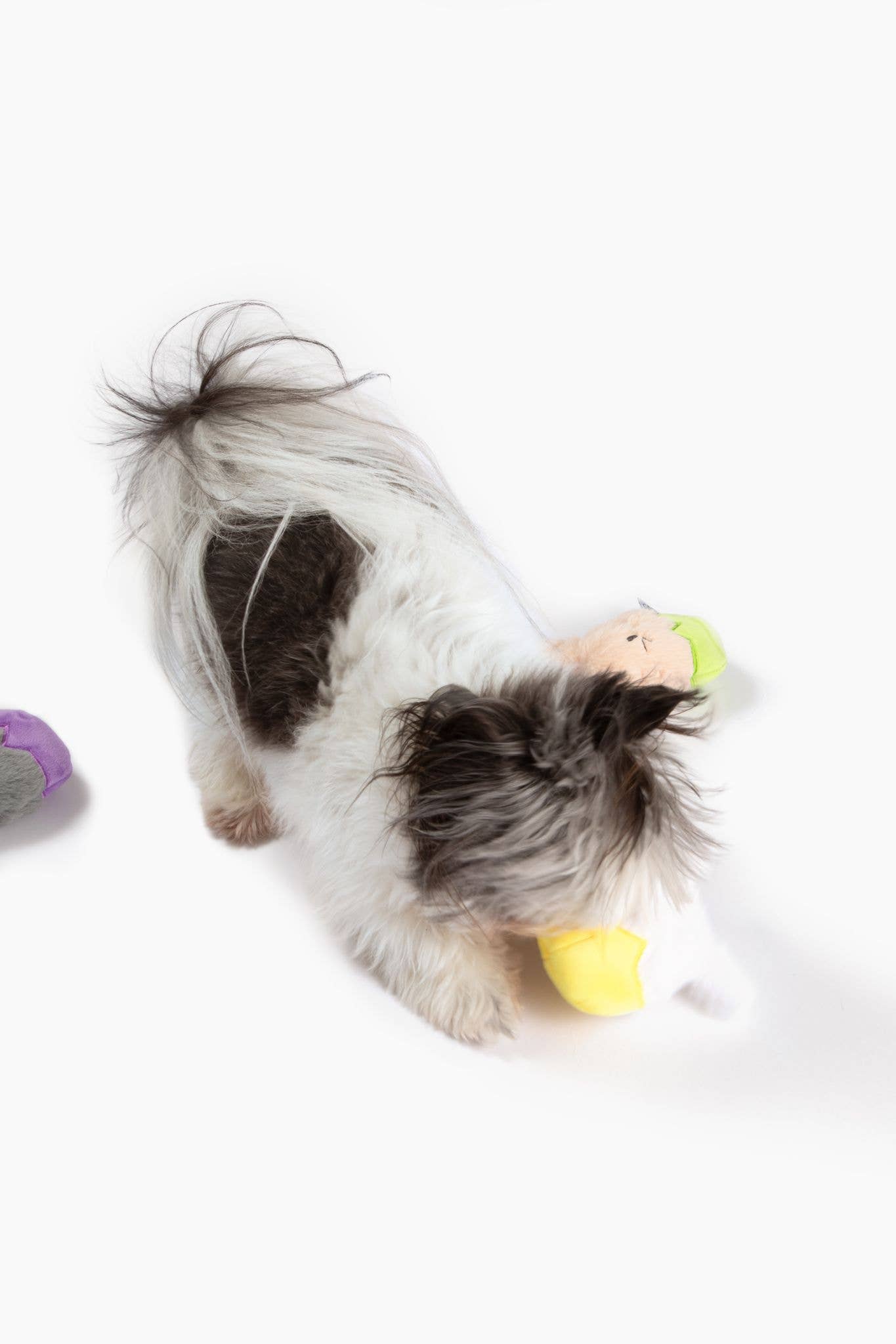 Midlee Easter Bunny Egg Dog Toy