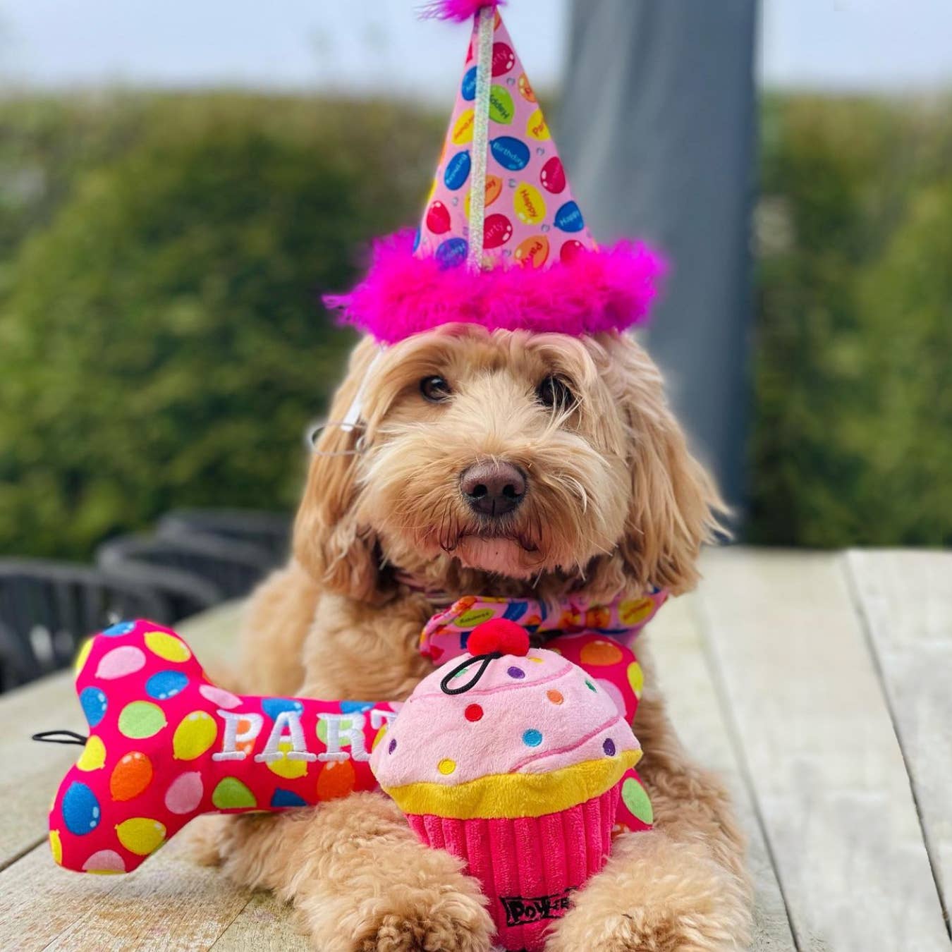 Party Time Pink Party Hat with SnugFit®