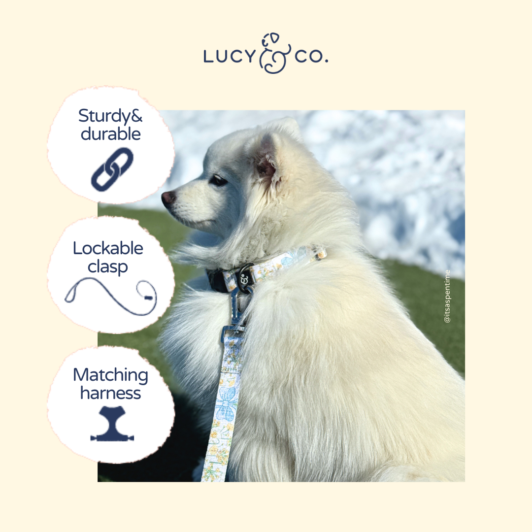 Lucy & Co Sunshine and Daffodils Leash