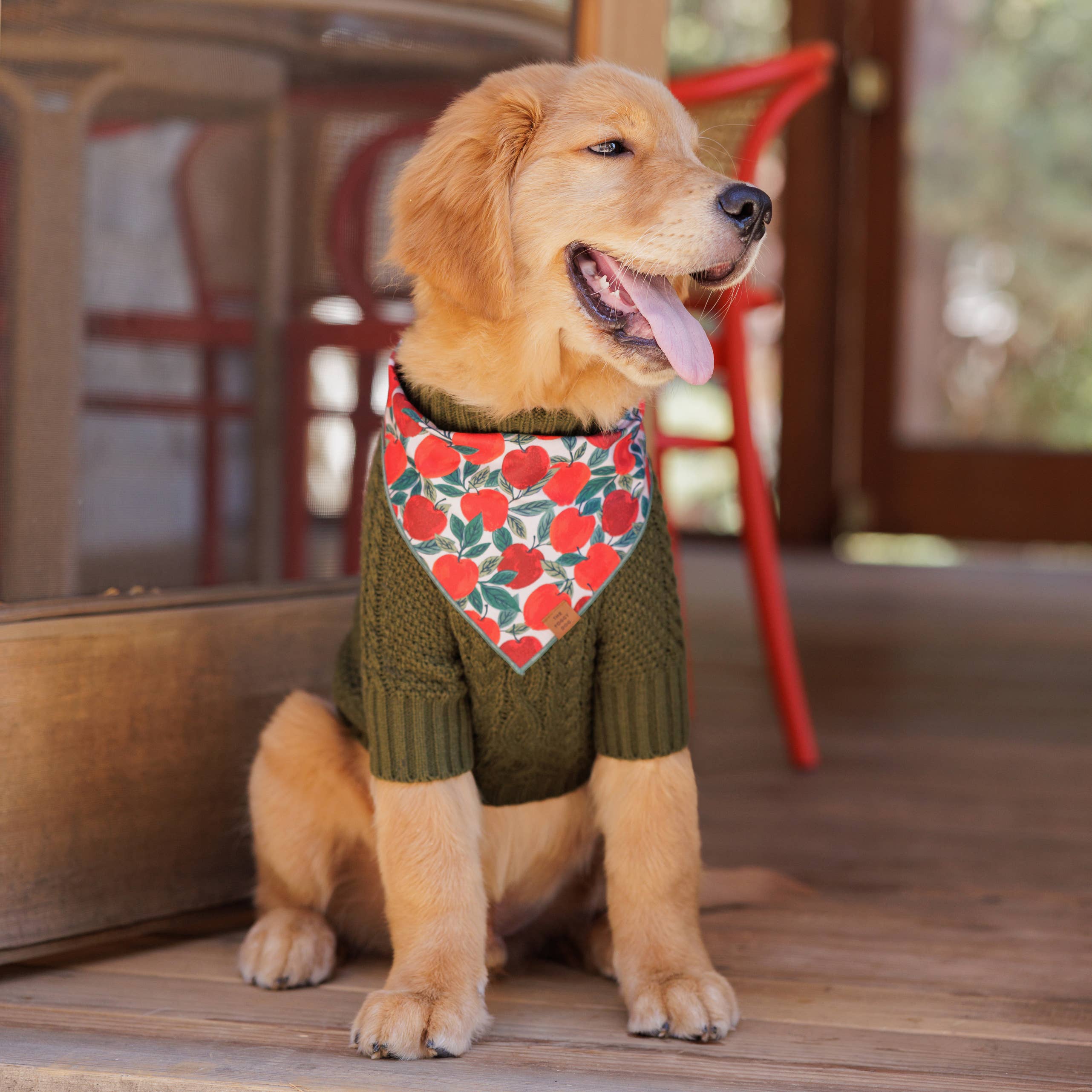 The Foggy Dog Olive Cable Knit Dog Sweater