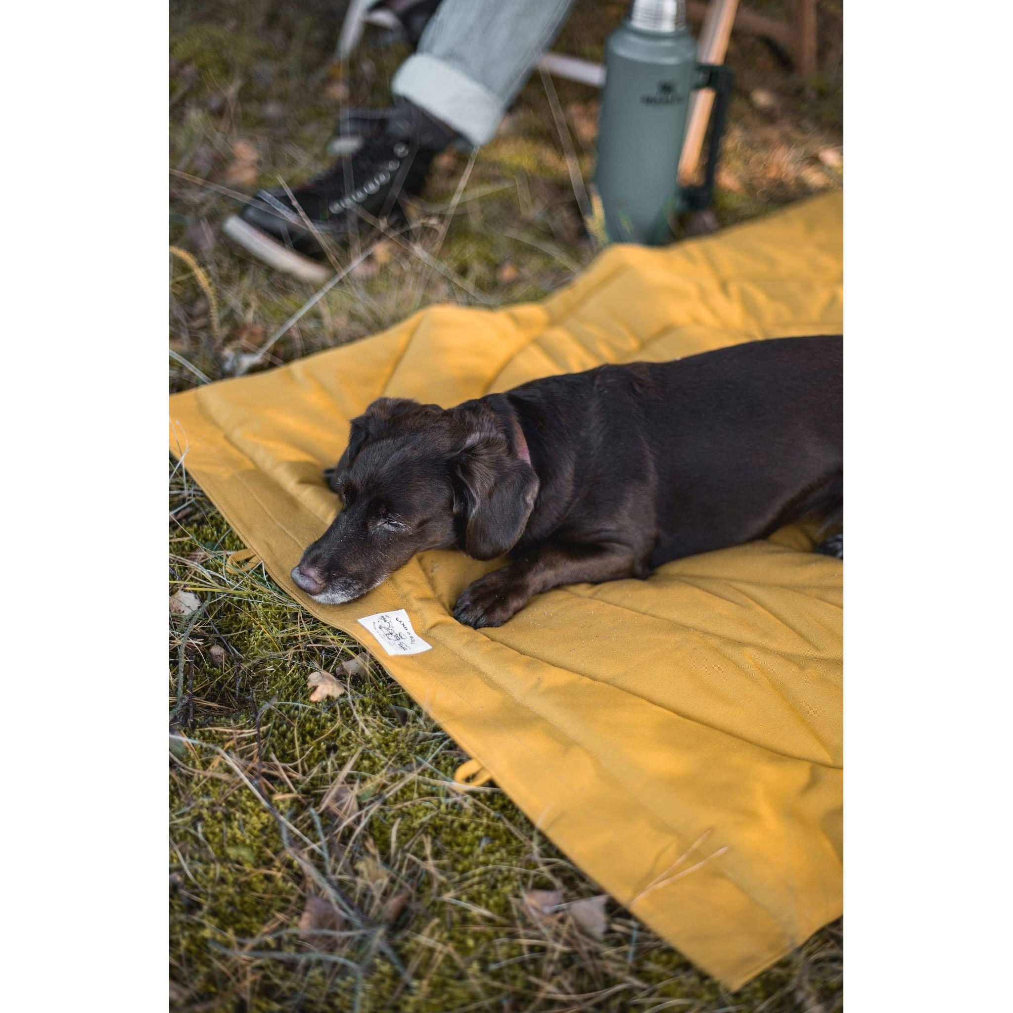 BAND&ROLL DOG TRAVEL BLANKET COMPASS