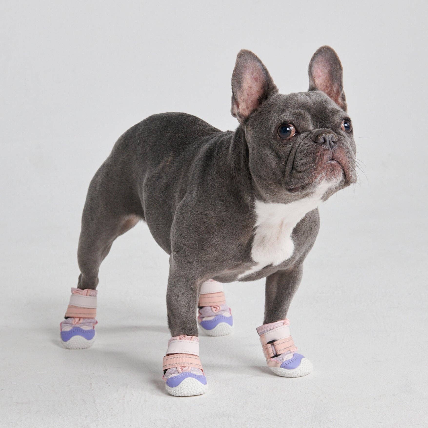 Spark Paws Pavement Pawtector Pink/Purple