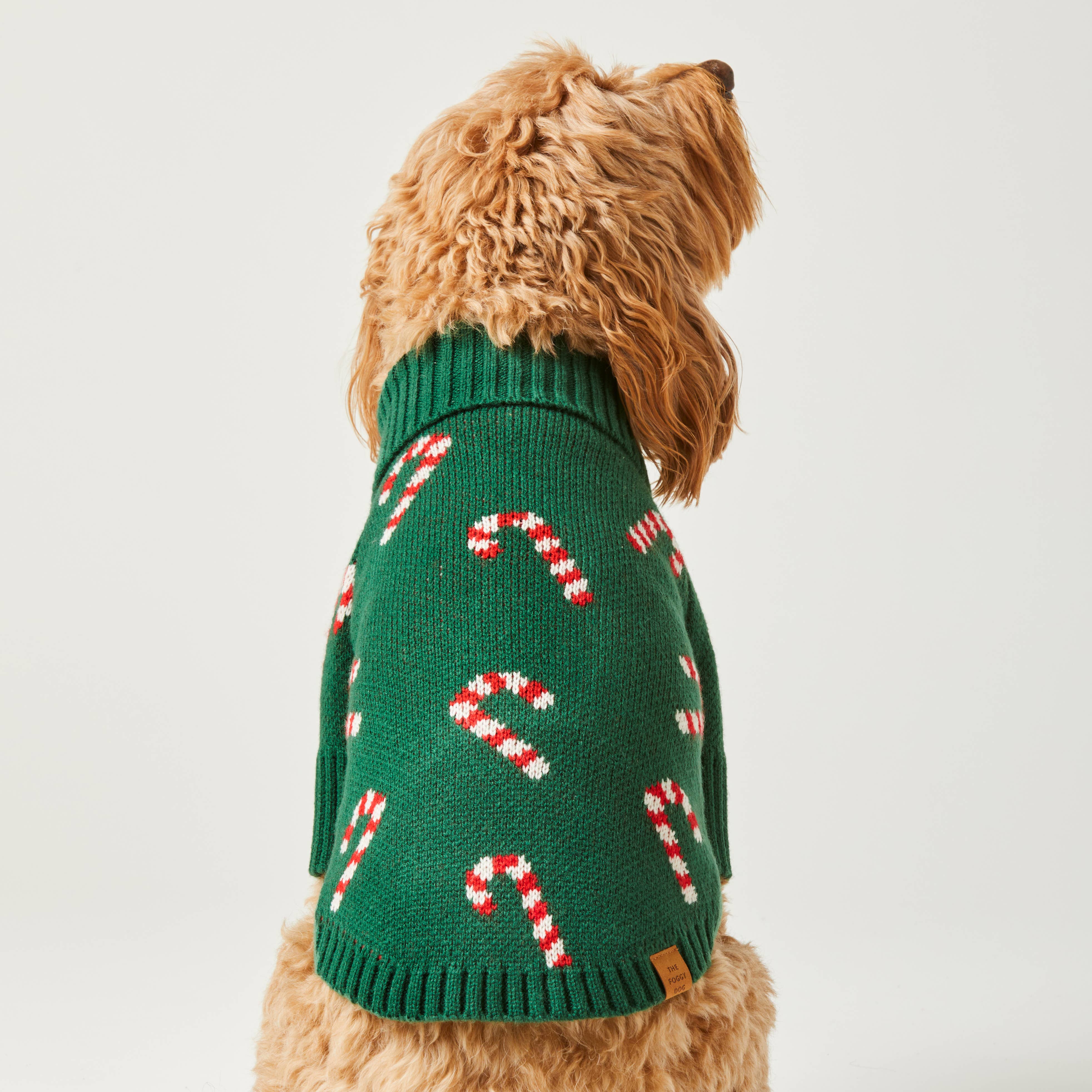 The Foggy Dog Candy Canes Holiday Dog Sweater