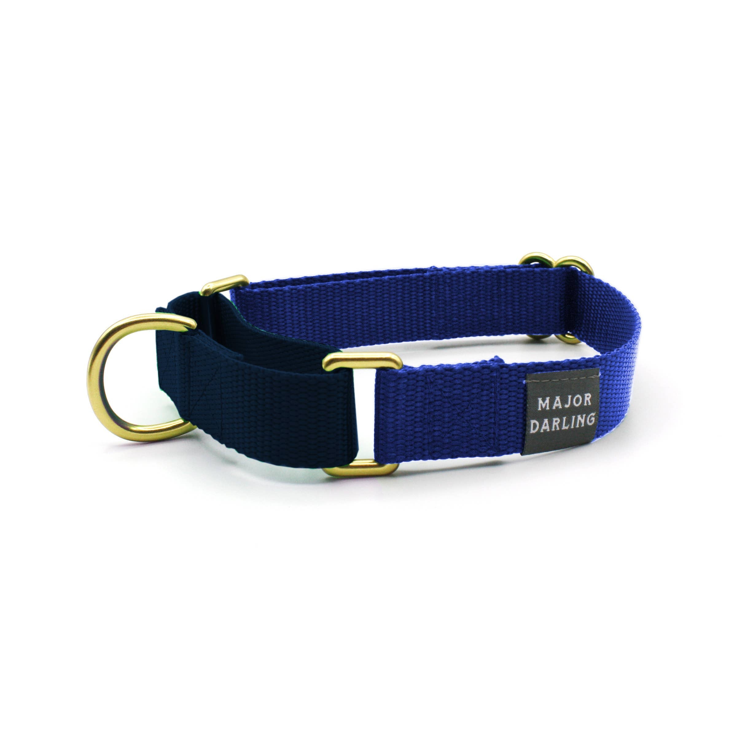 Major Darling Cobalt with Navy Martingale Collar