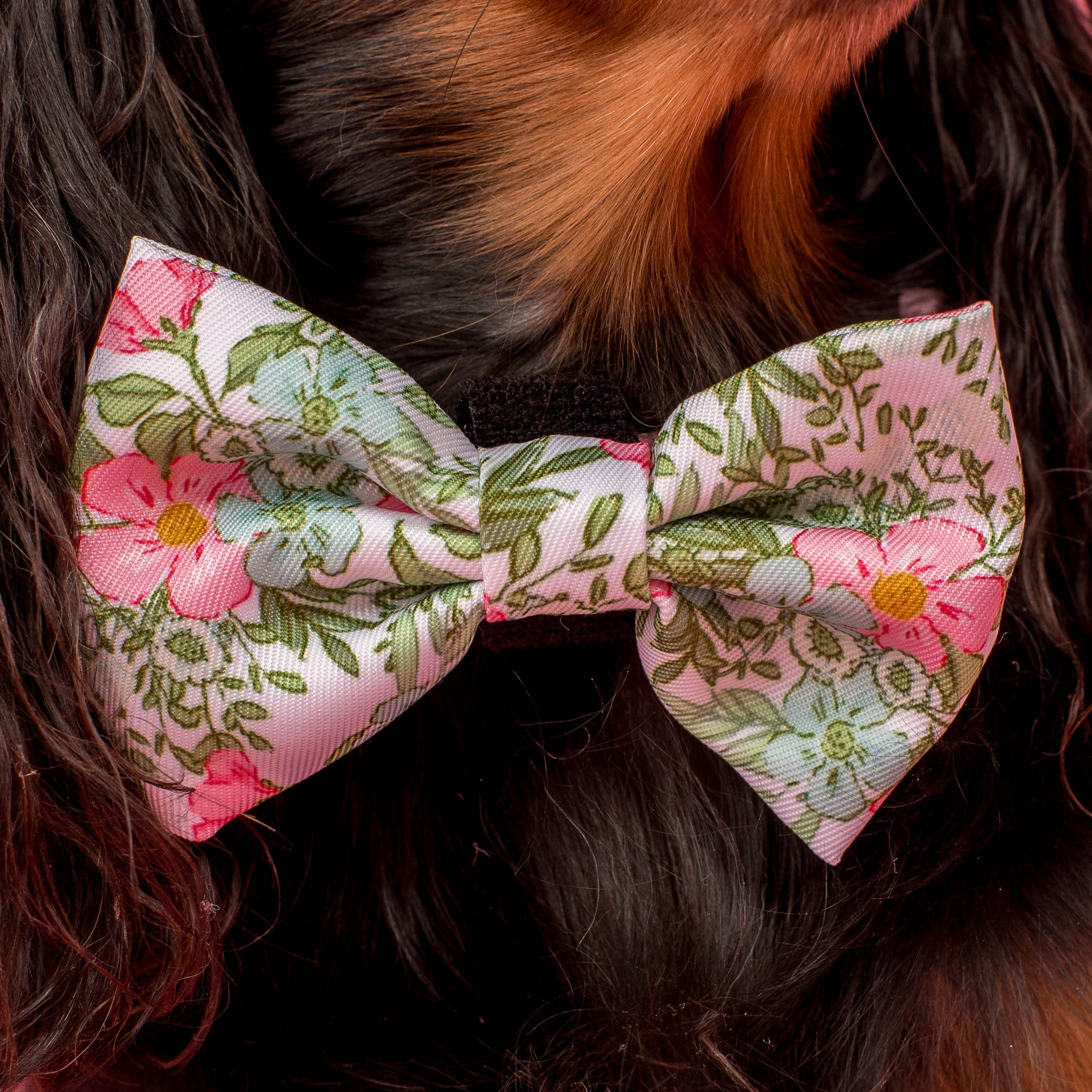 Pablo & Co Flora & Fern Bow Dog Tie