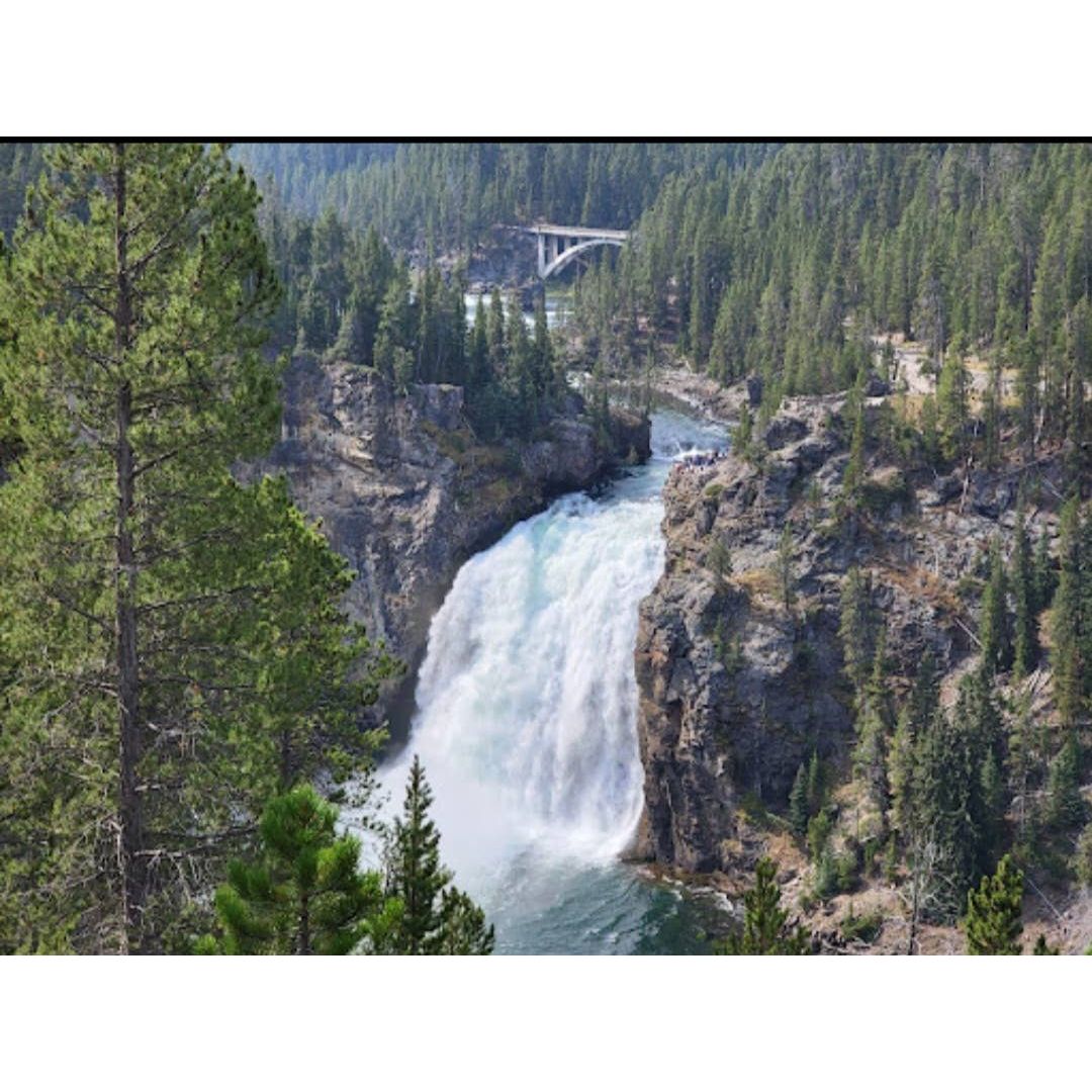 Fox+ Hound Dog Shampoo + Cond. National Park Series Yellowstone