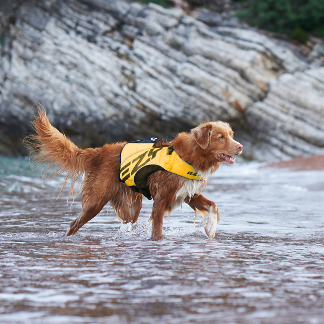 Ezydog DFD X2 Boost Dog Flotation Device