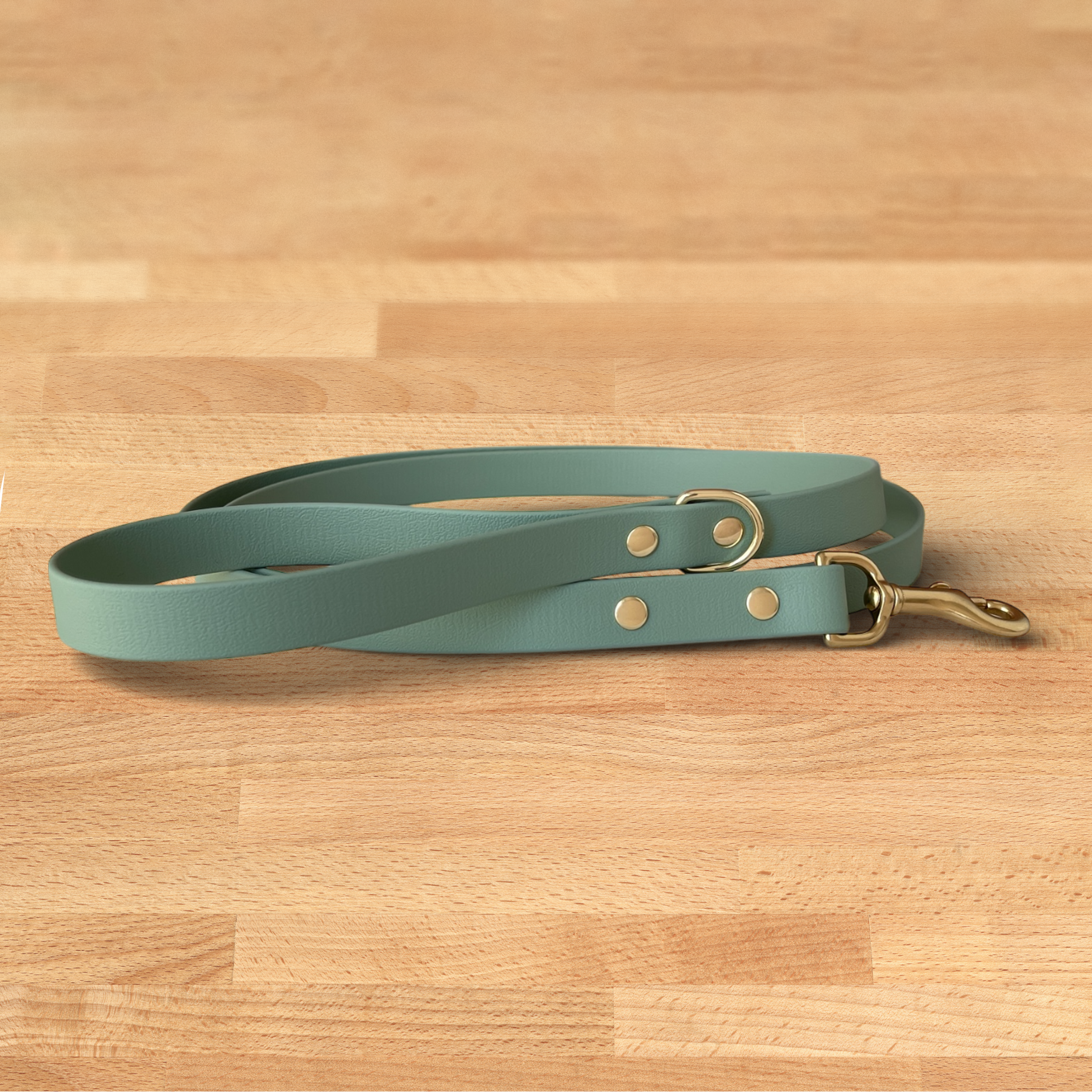 Foxmoth Biothane Waterproof Leash