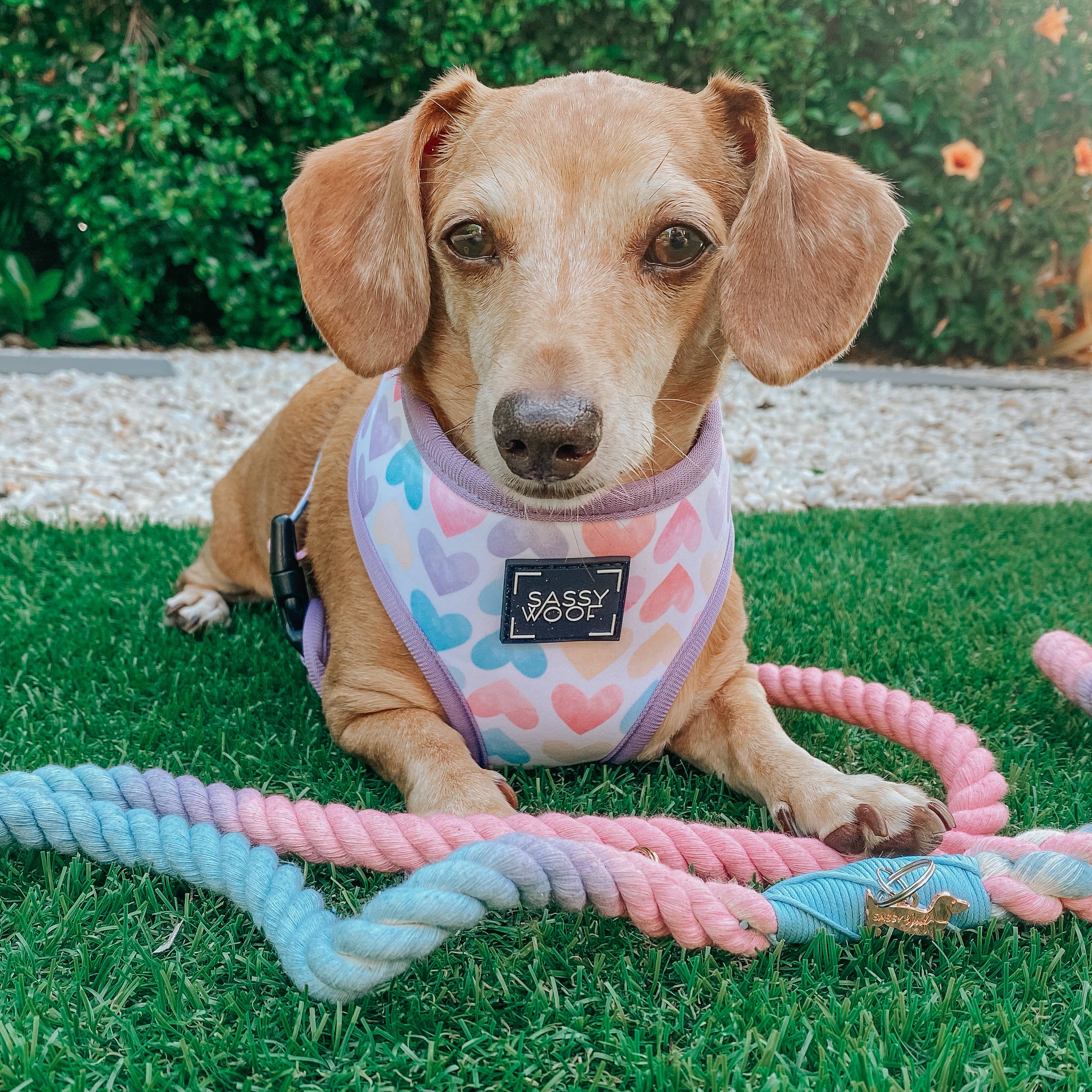 SASSY WOOF Rope Leash - Romance