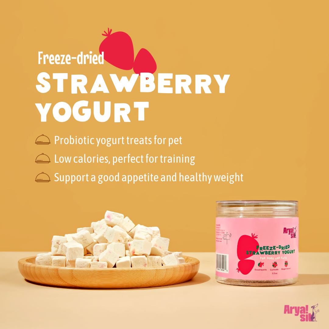 Arya Sit! Freeze-Dried Strawberry Yogurt 4.0oz