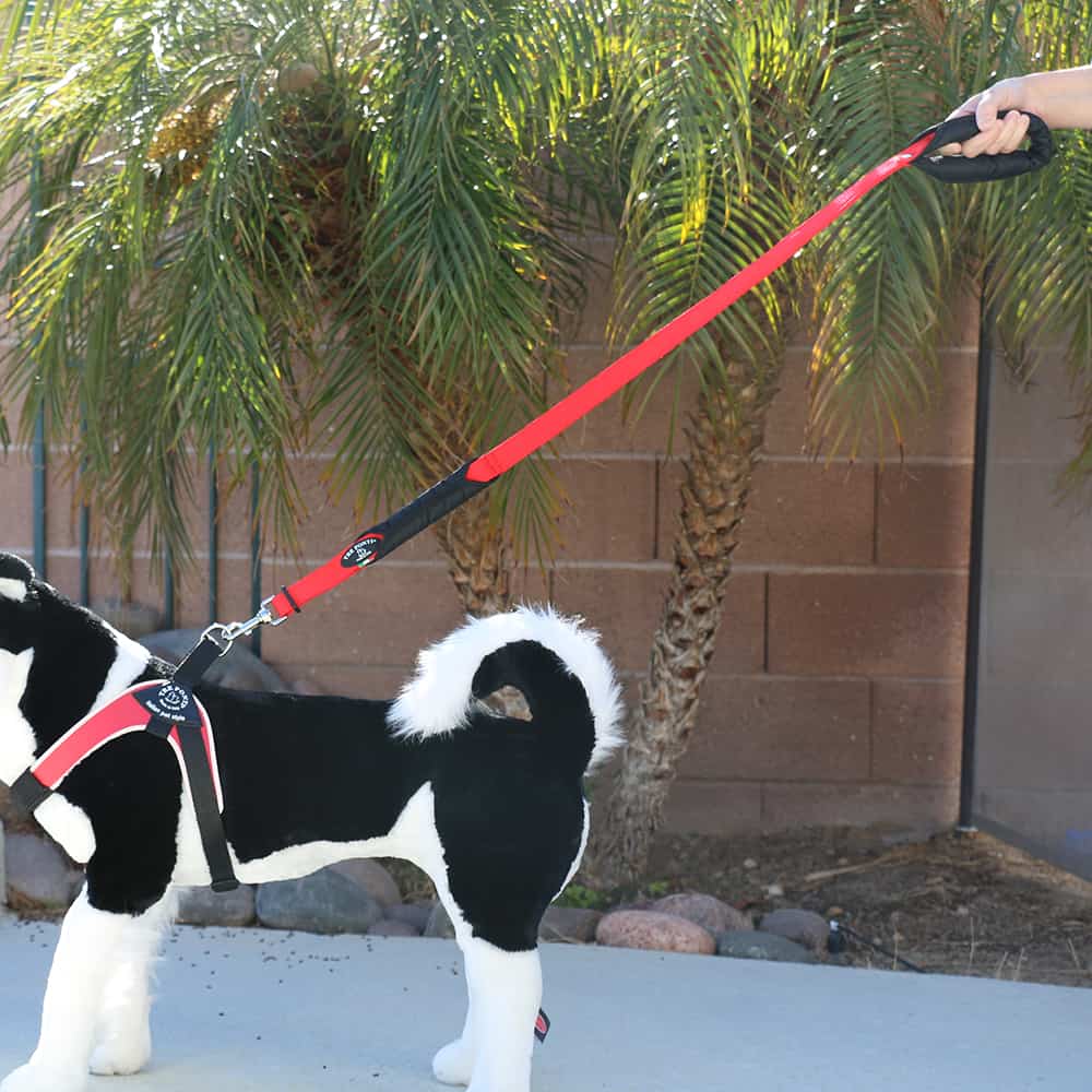 Tre Ponti Double Handle Leash 41" Black