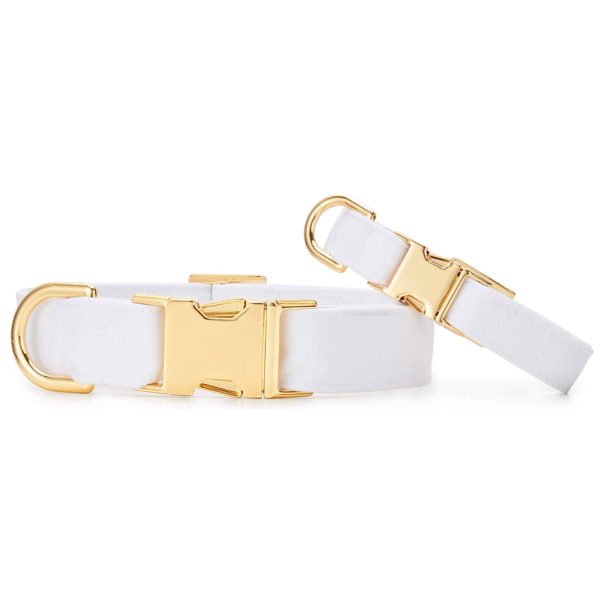 The Foggy Dog White Dog Collar