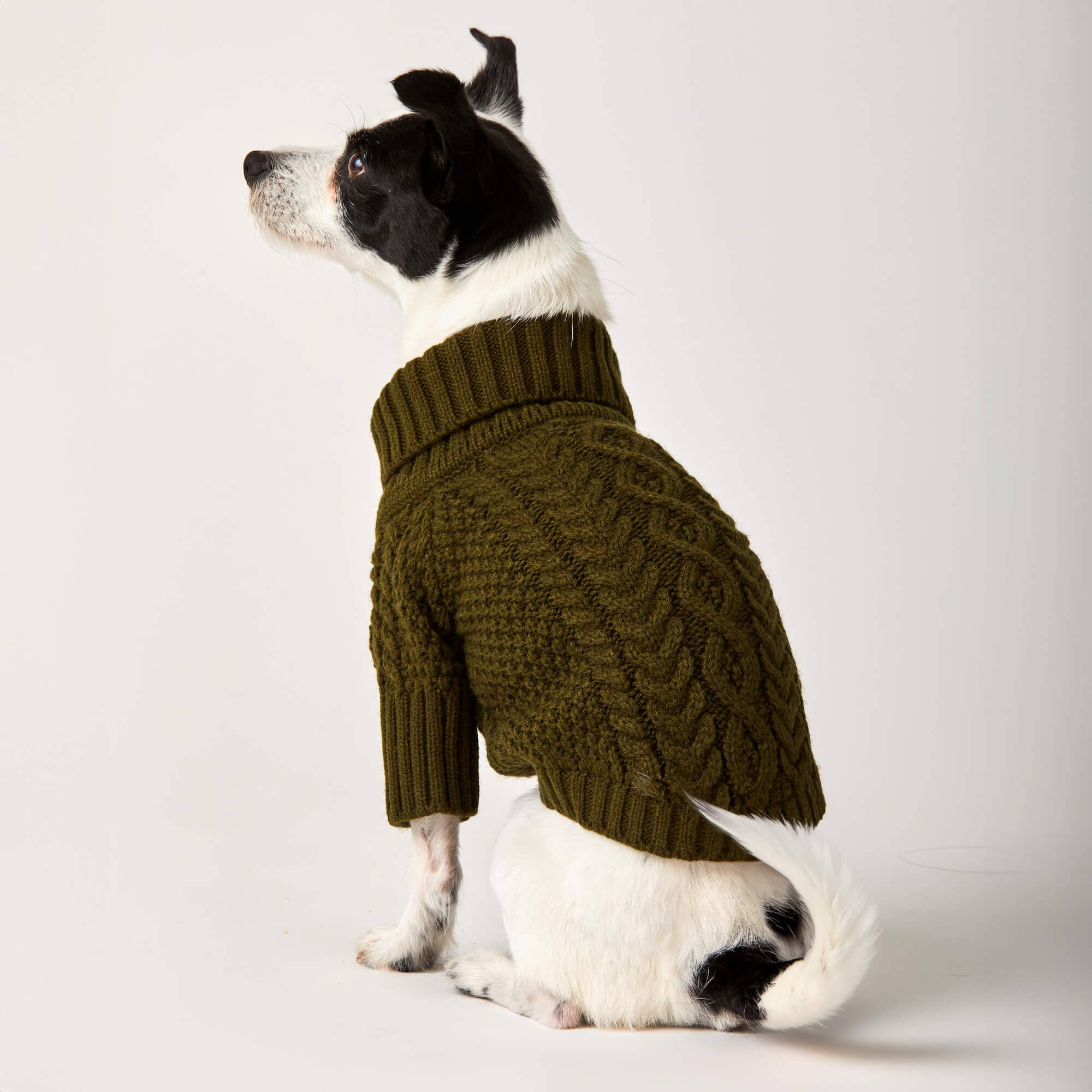 The Foggy Dog Olive Cable Knit Dog Sweater