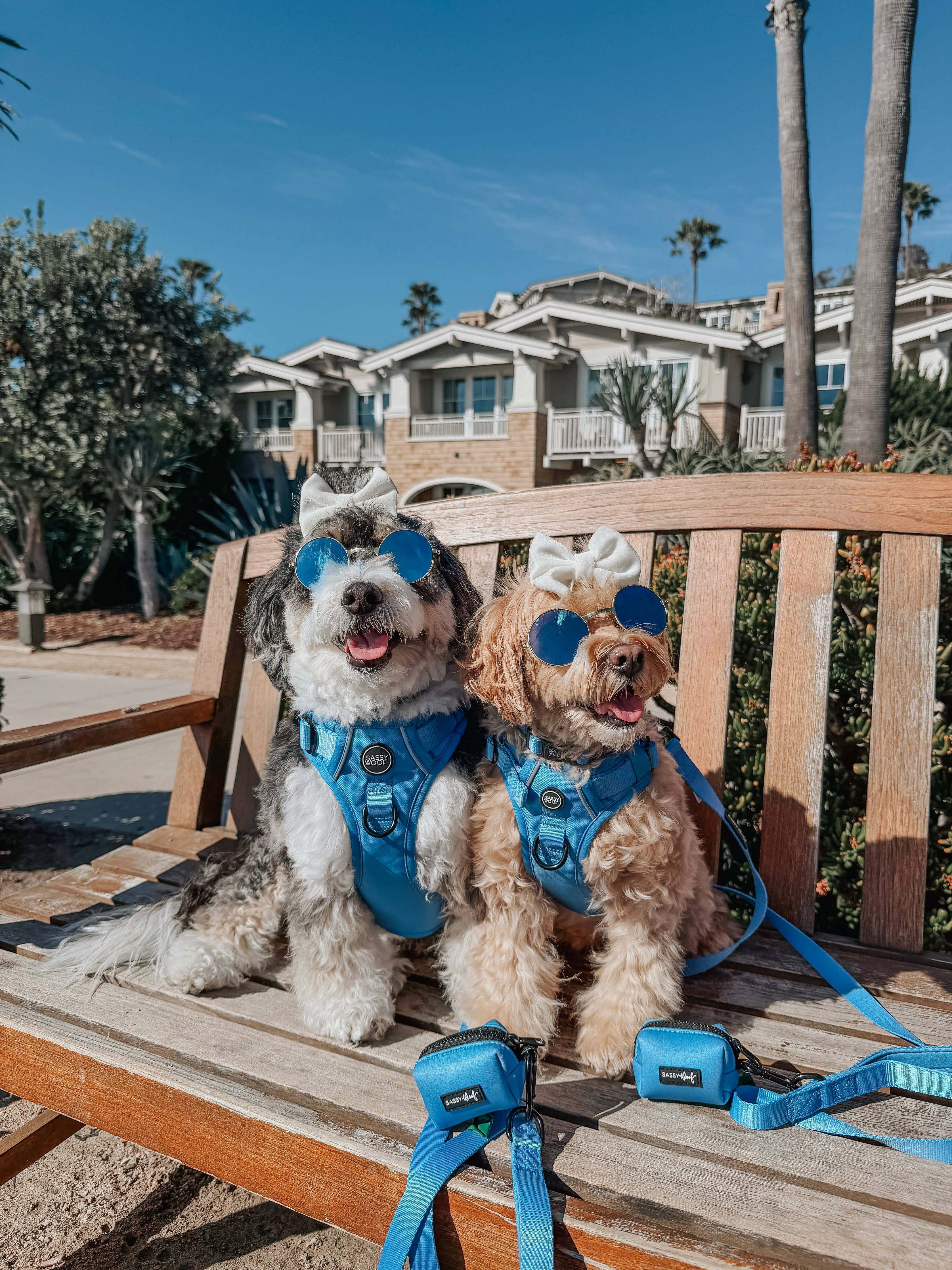 Sassy Woof Dog Leash - Hydrangea