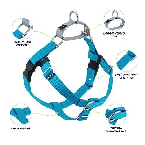 2 Hounds Design Freedom No-Pull Dog Harness with Leash - Turquoise