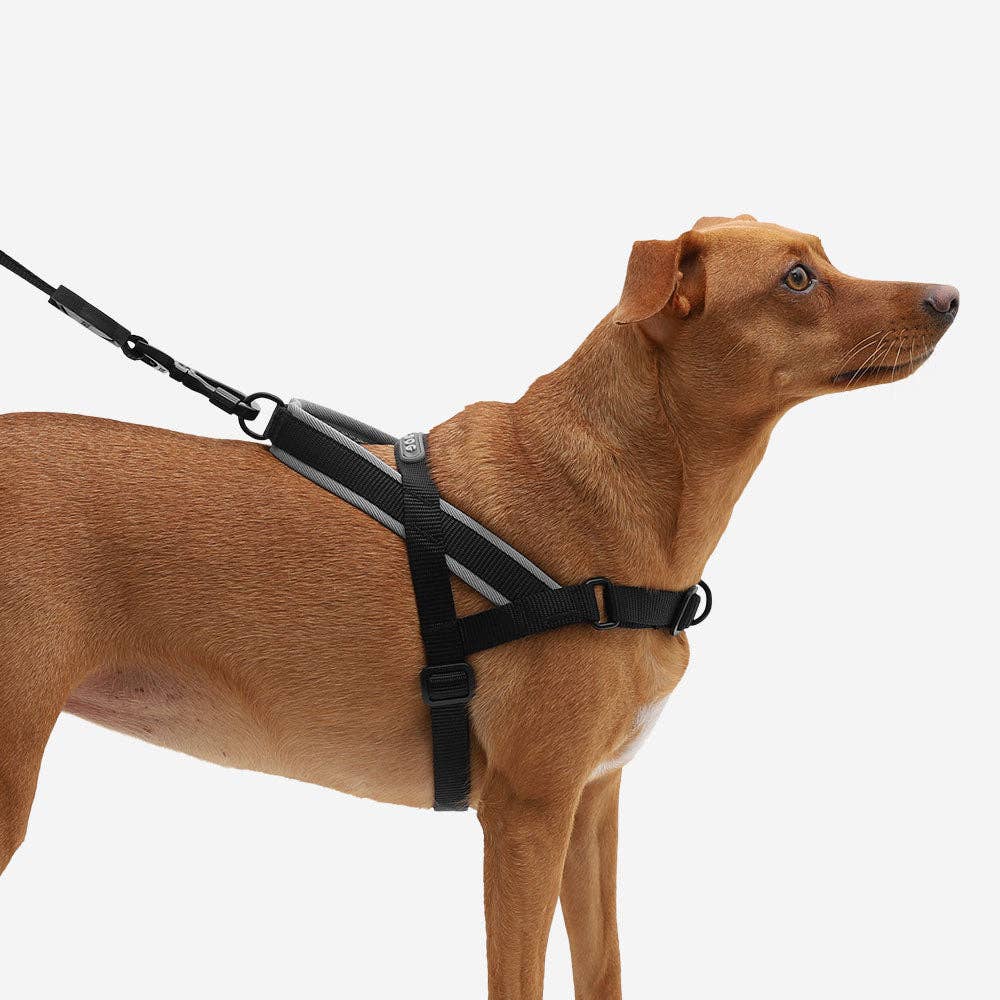 Zee.Dog SofterWalk Harness - Gotham