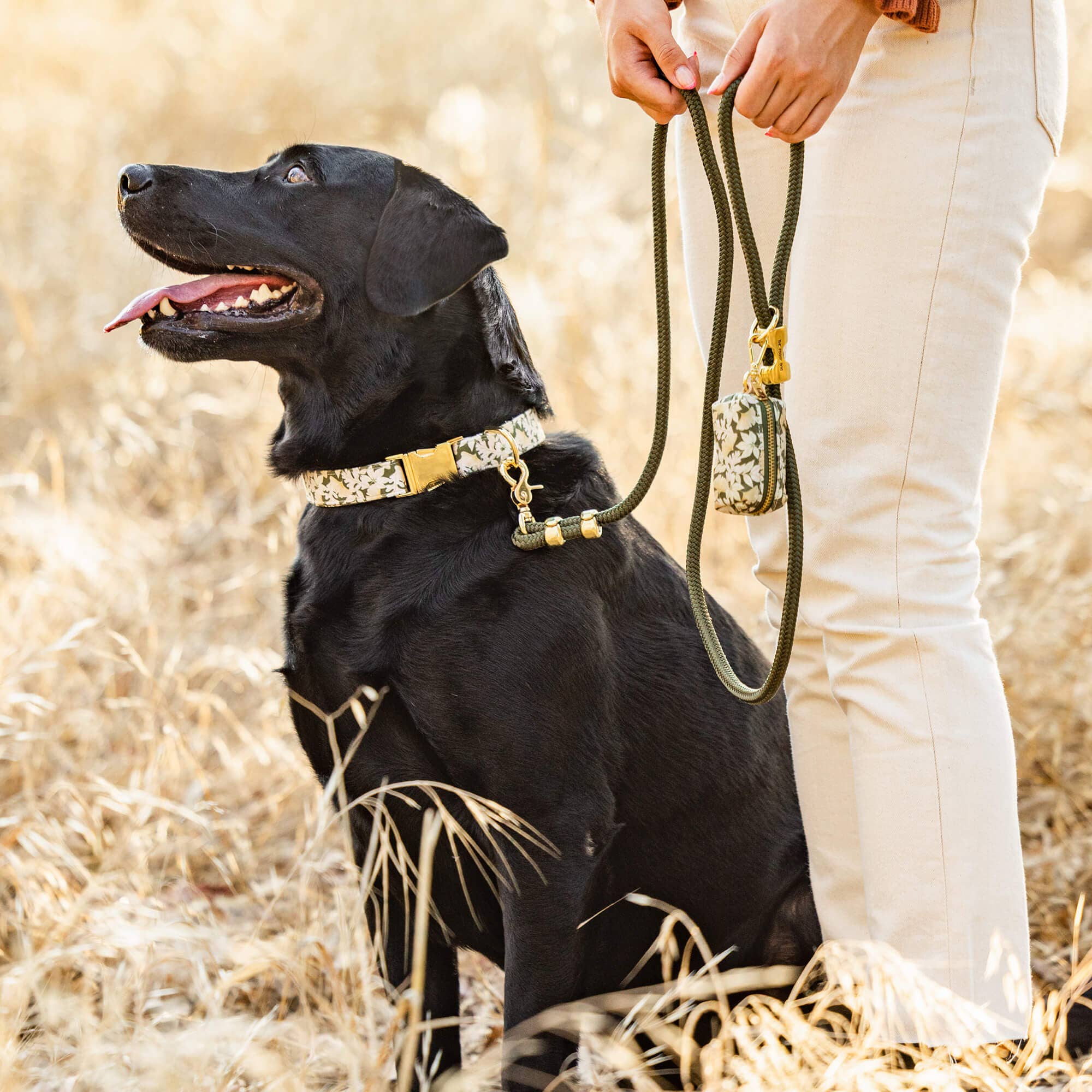 The Foggy Dog Olive Marine Rope Dog Leash