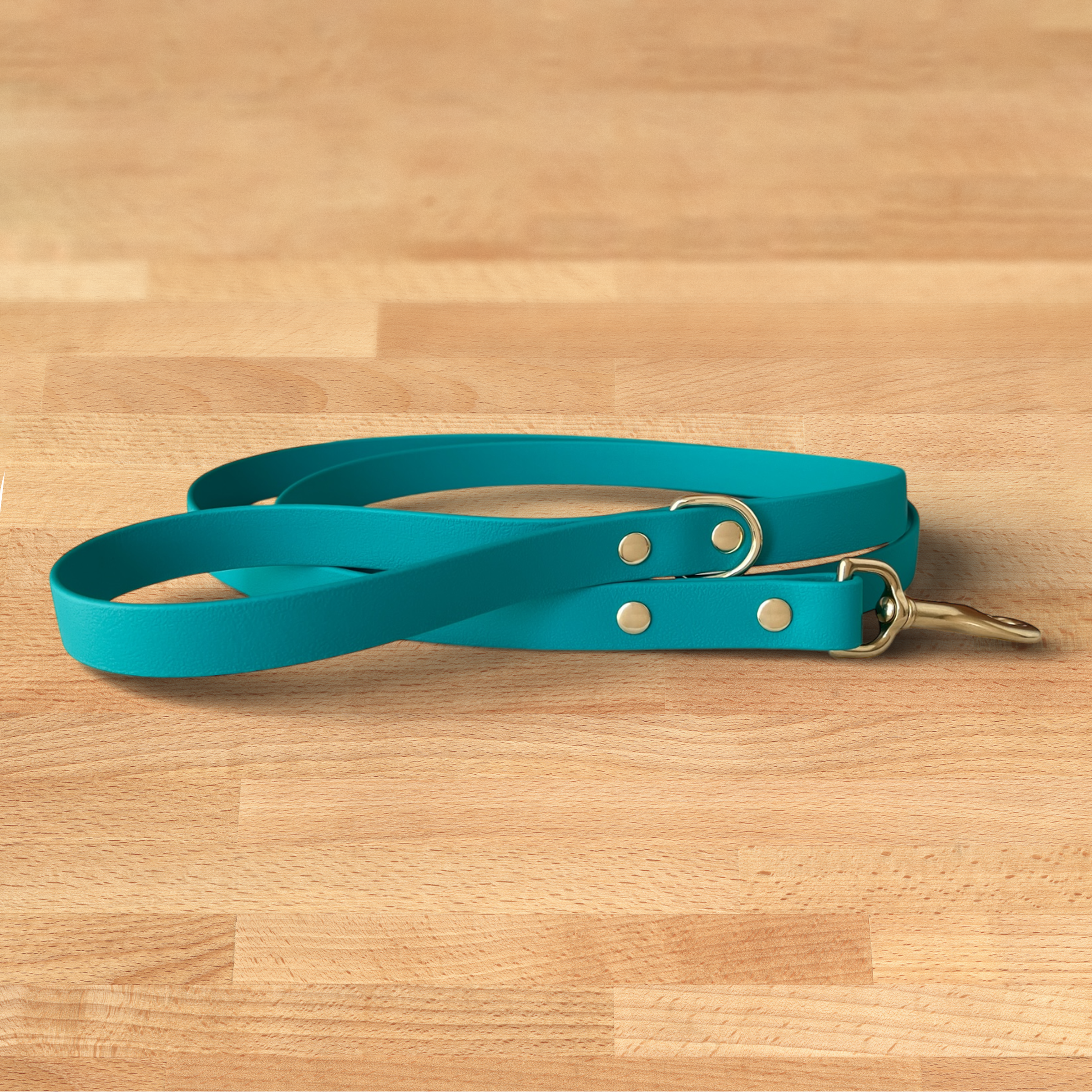 Foxmoth Biothane Waterproof Leash