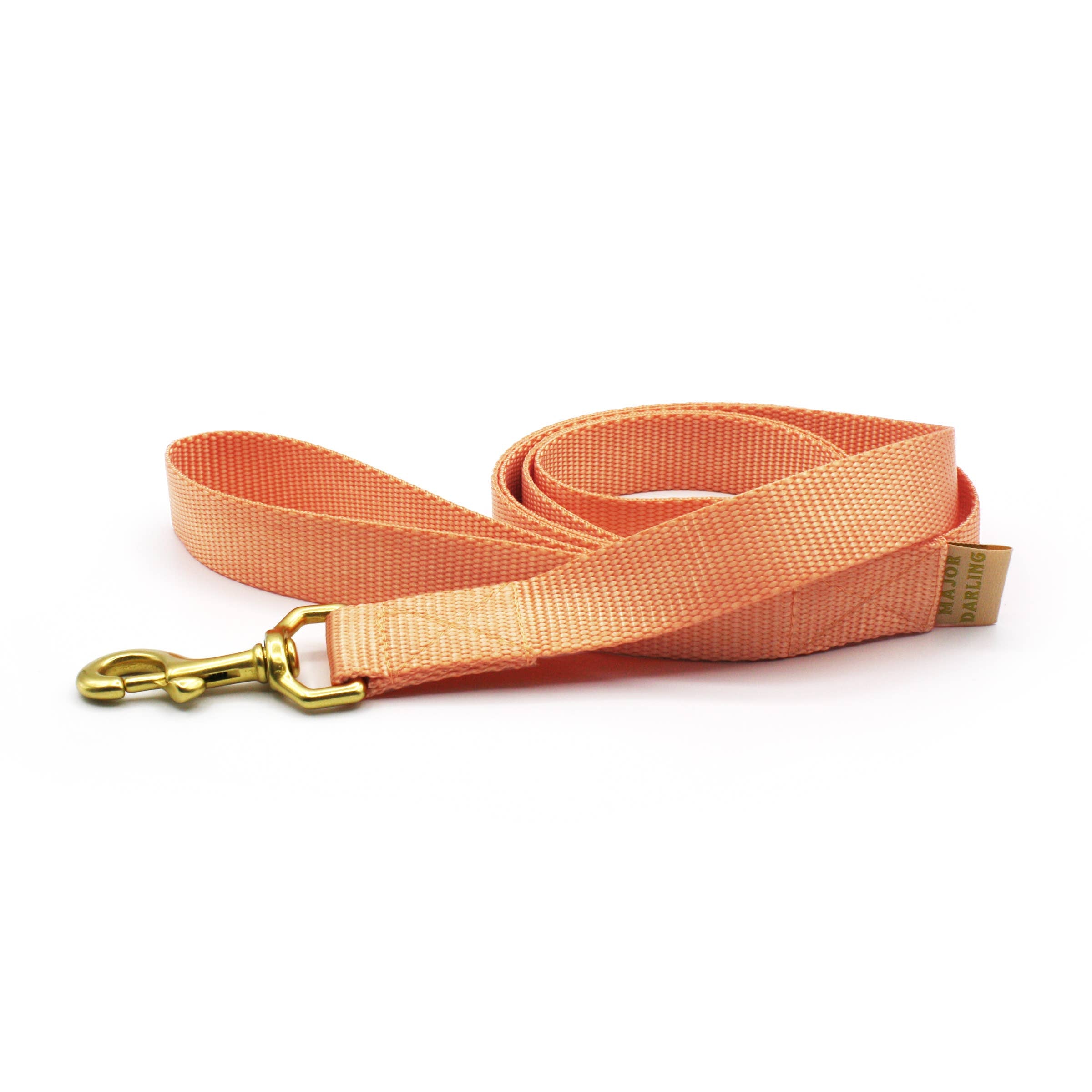 Major Darling Basic Leash Standard (1" wide)