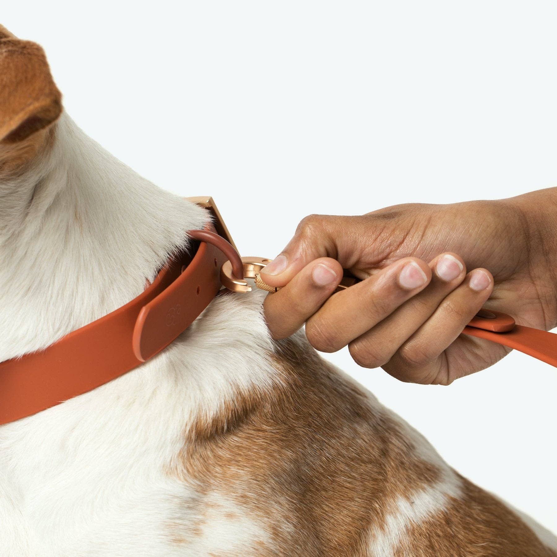 Lucy & Co. Terracotta Everyday PVC Leash