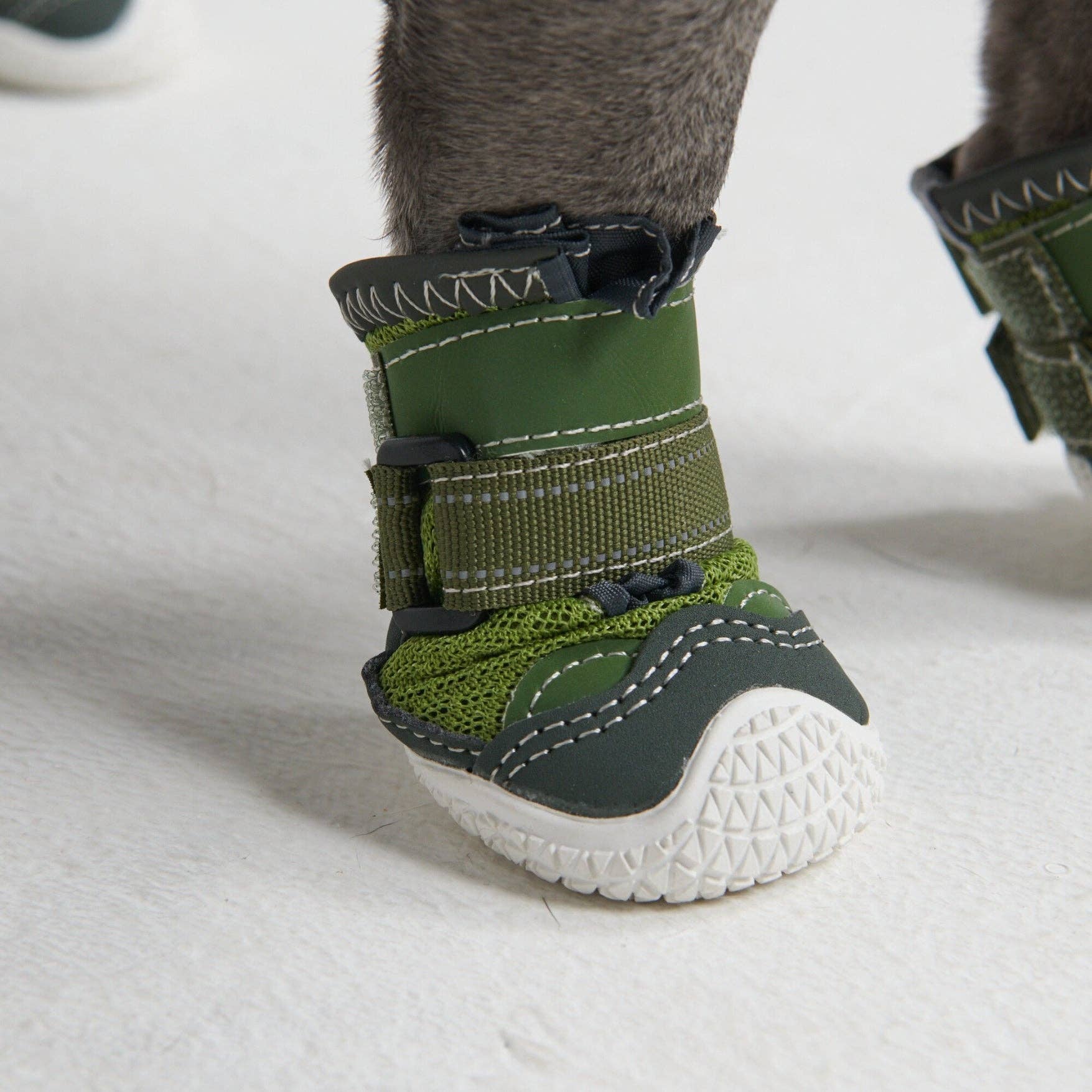 Spark Paws Pavement Pawtector Green