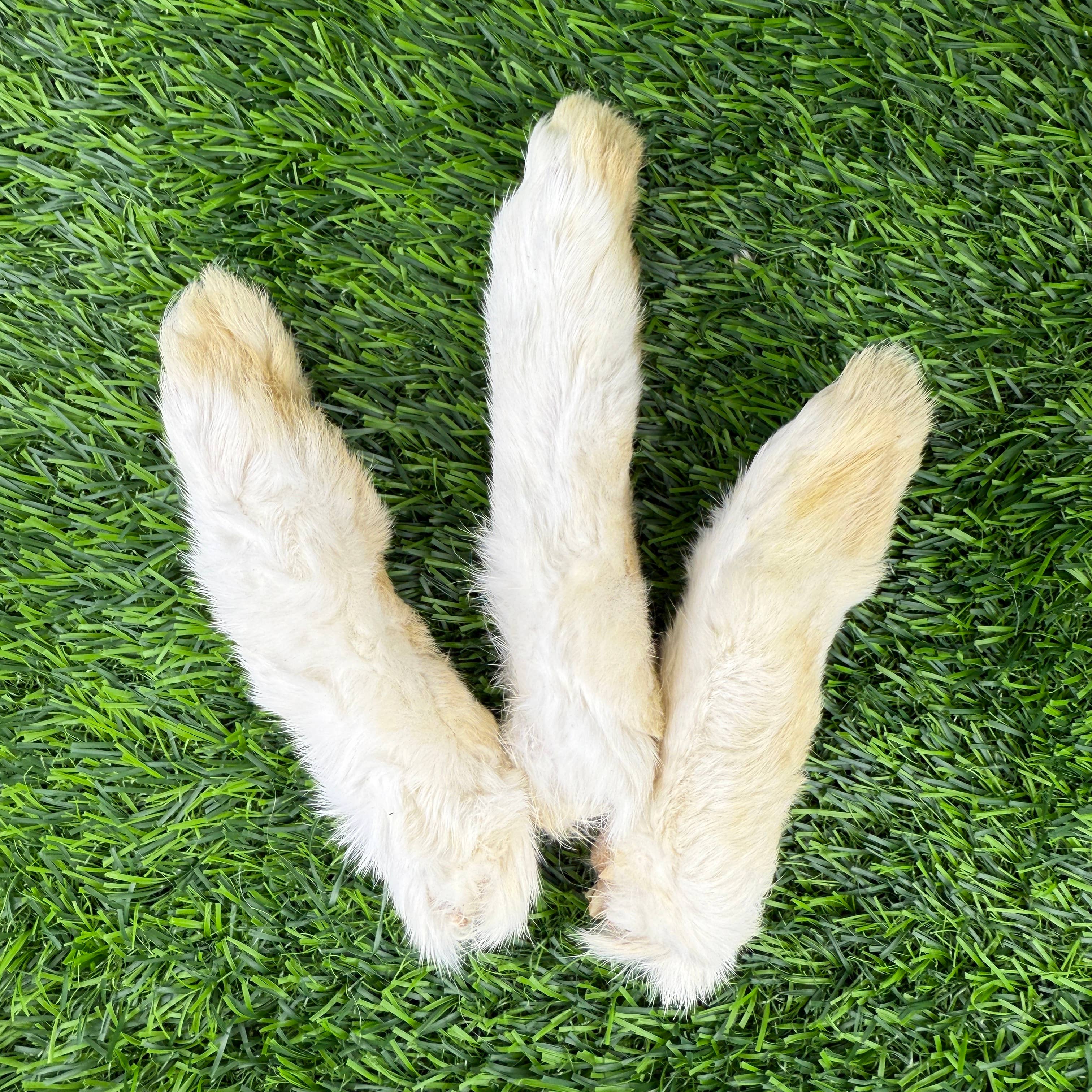 Golden Nibbles Rabbit Feet - Bag of 6