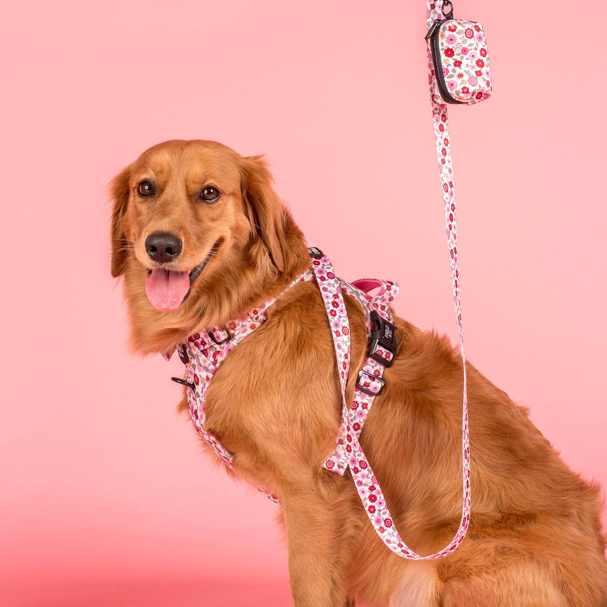 Pablo & Co Primrose Dog Poop Bag Holder