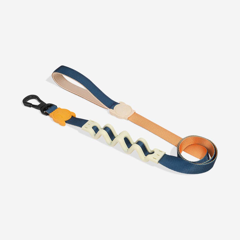 Zee.Dog Ruff Leash 2.0 - Voyage