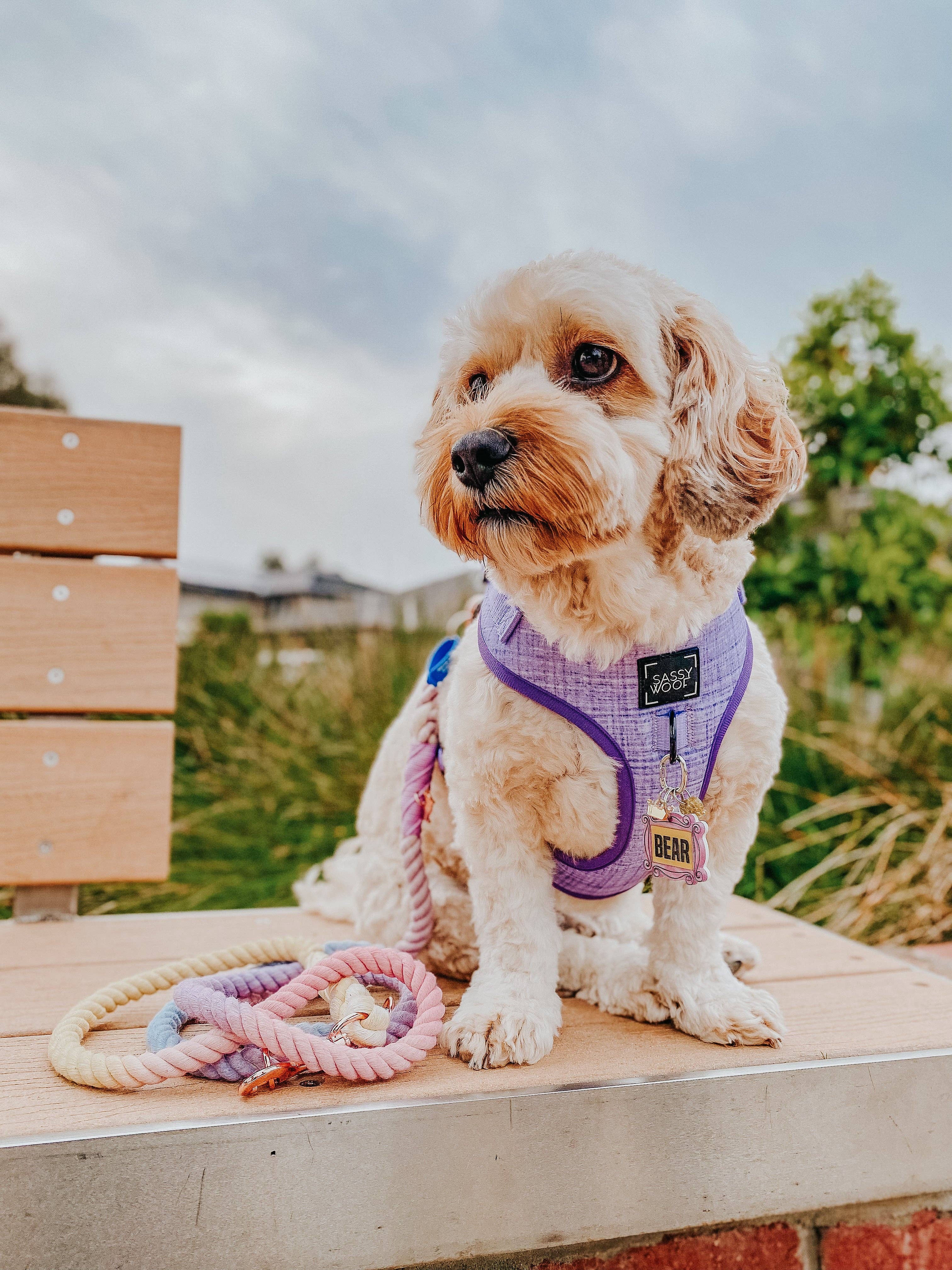 Sassy Woof Dog Rope Leash - Caroline
