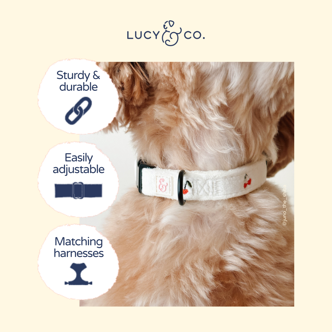 Lucy & Co. Cherry Cute Collar