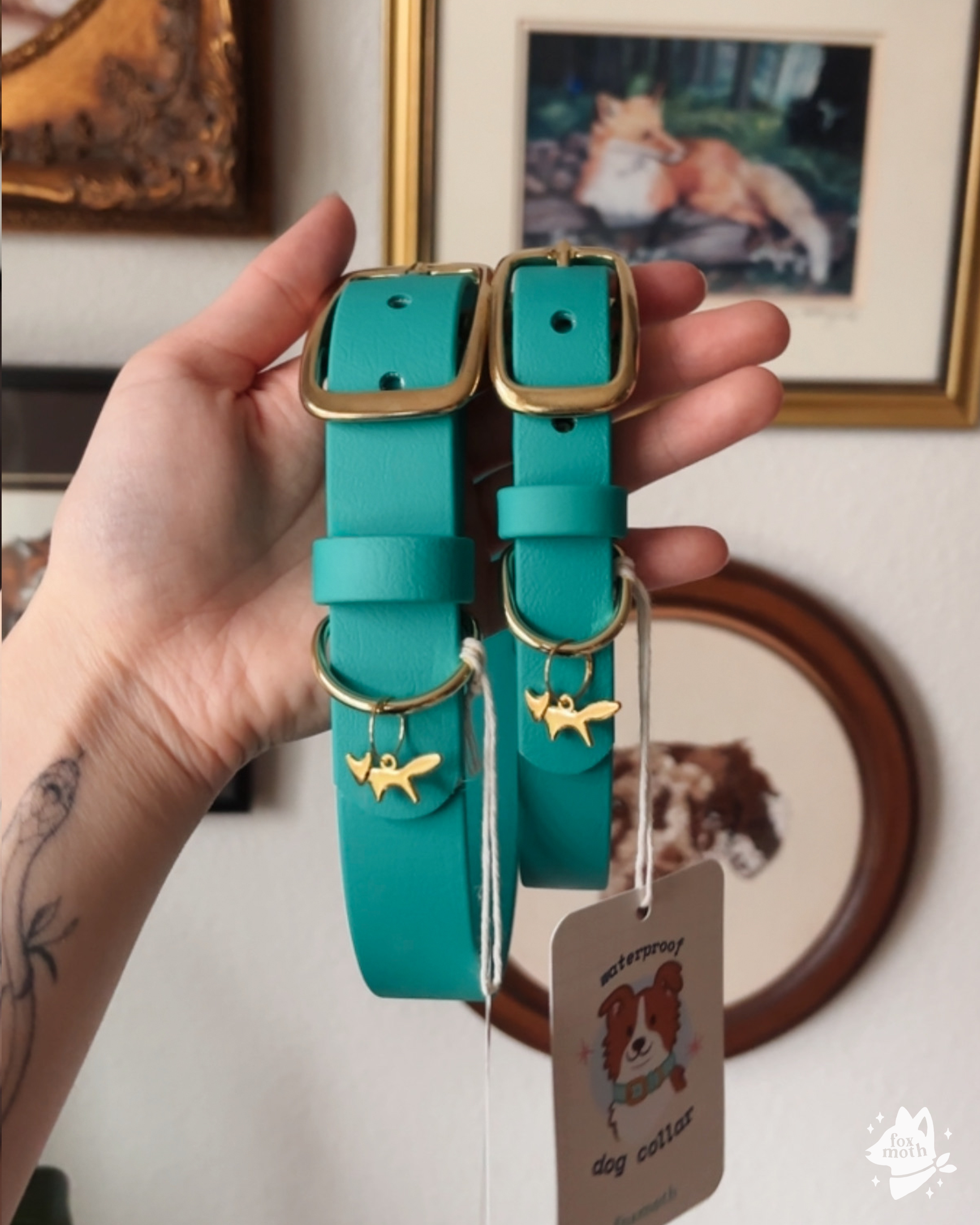 Foxmoth Waterproof Biothane Collar