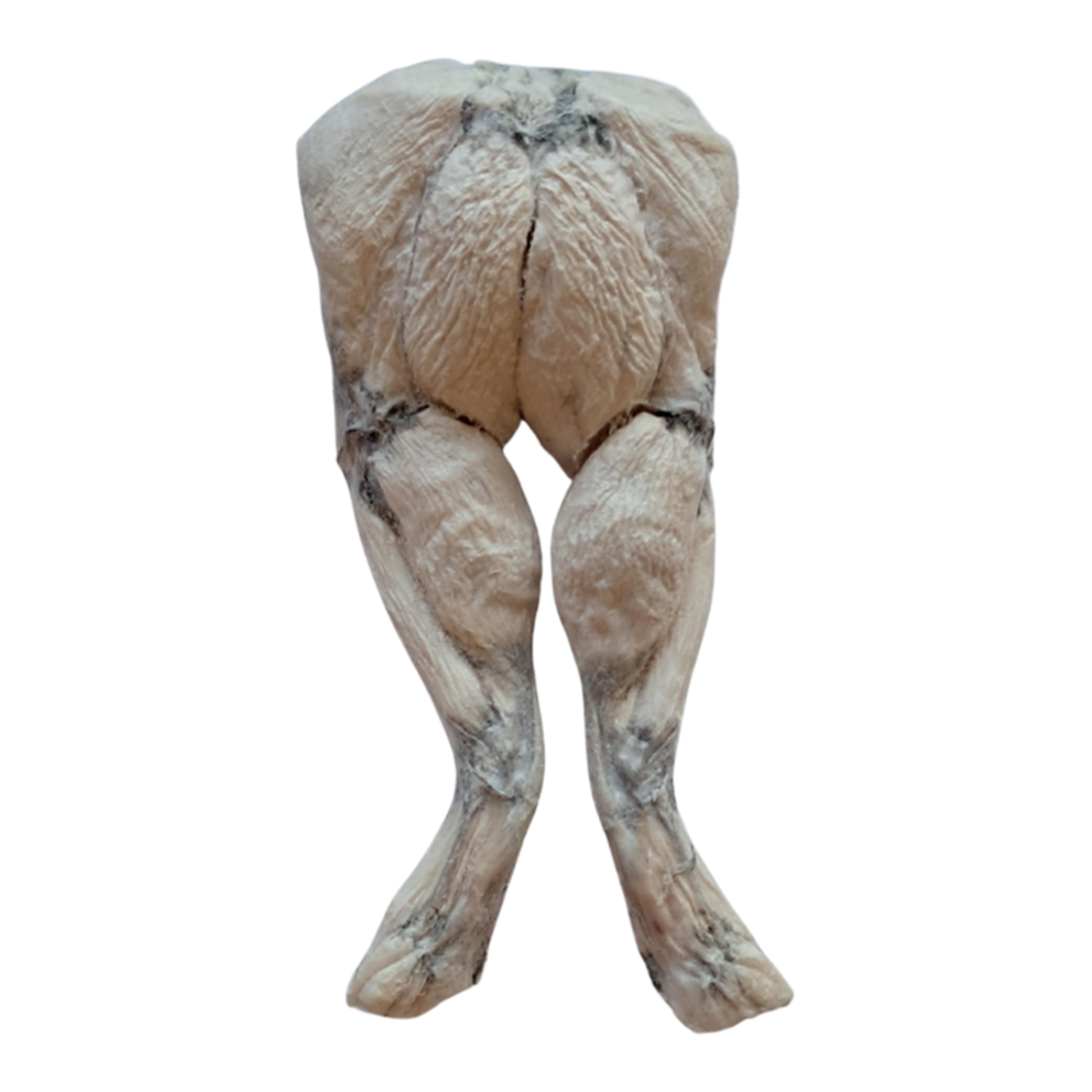Bones and Co Frog Legs