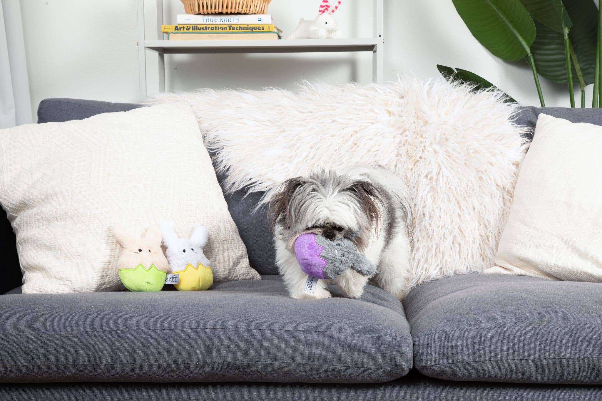 Midlee Easter Bunny Egg Dog Toy