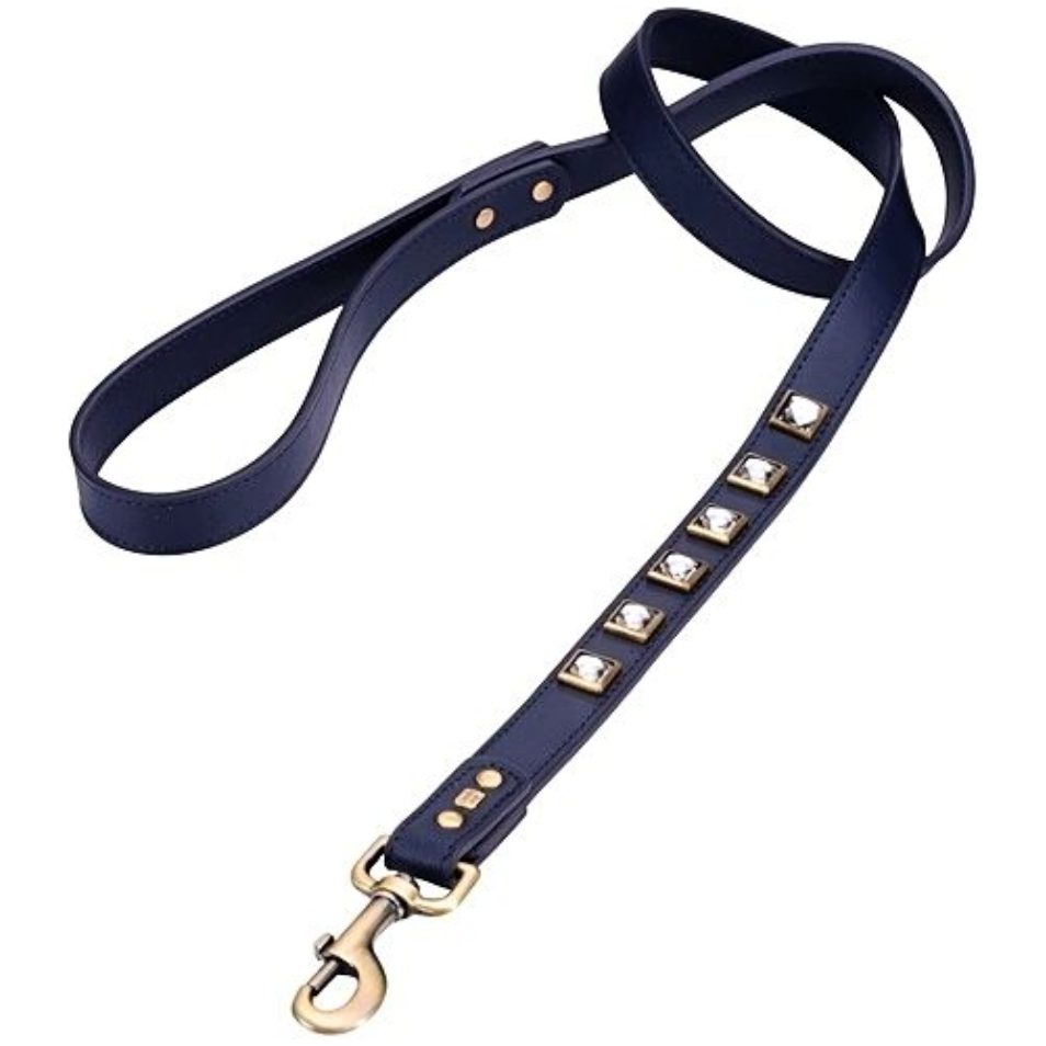 Dosha Dog Monte Carlo Collar/Leash  -  Blue