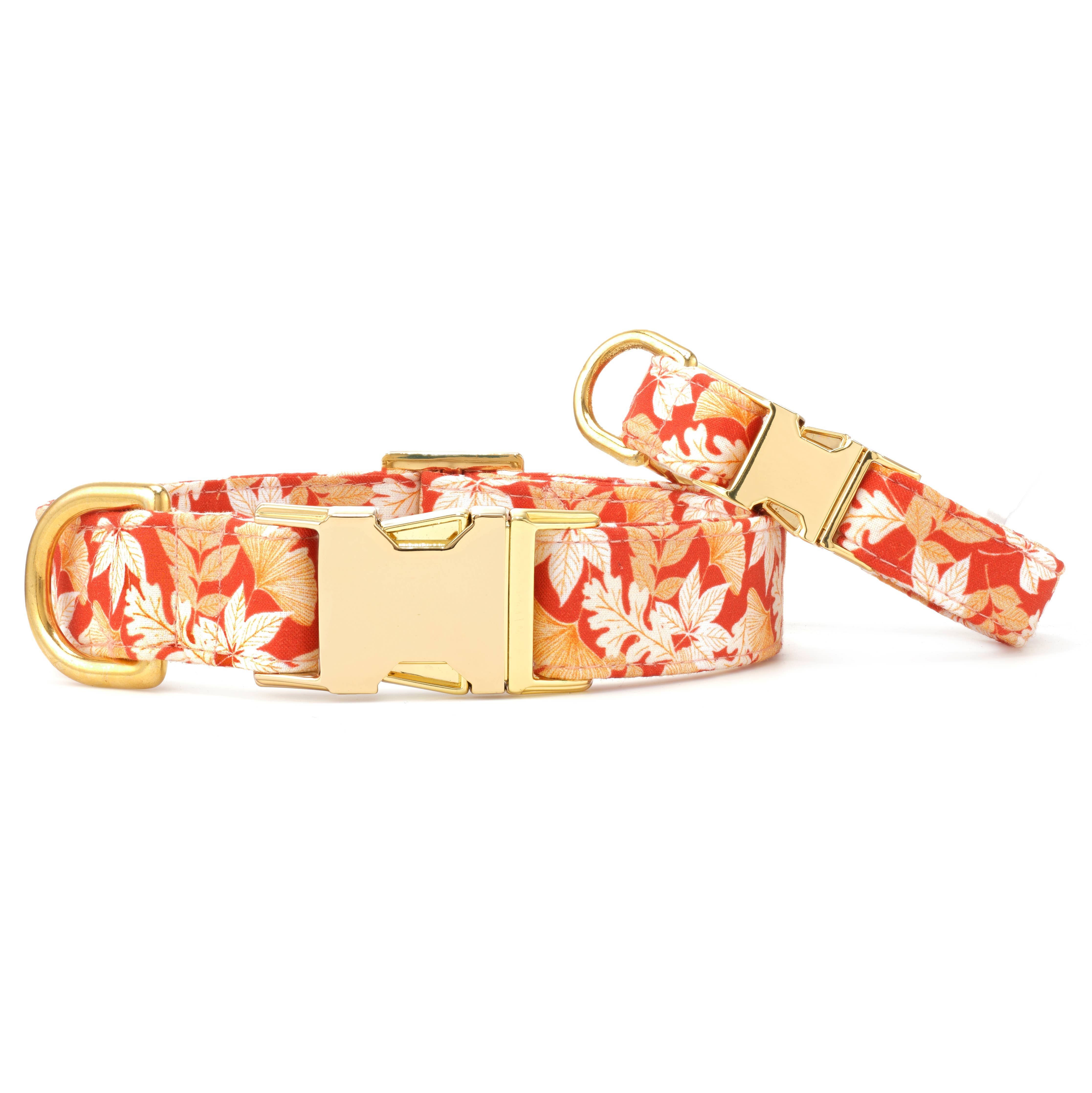 The Foggy Dog Autumn Leaves Rust Fall Dog Collar